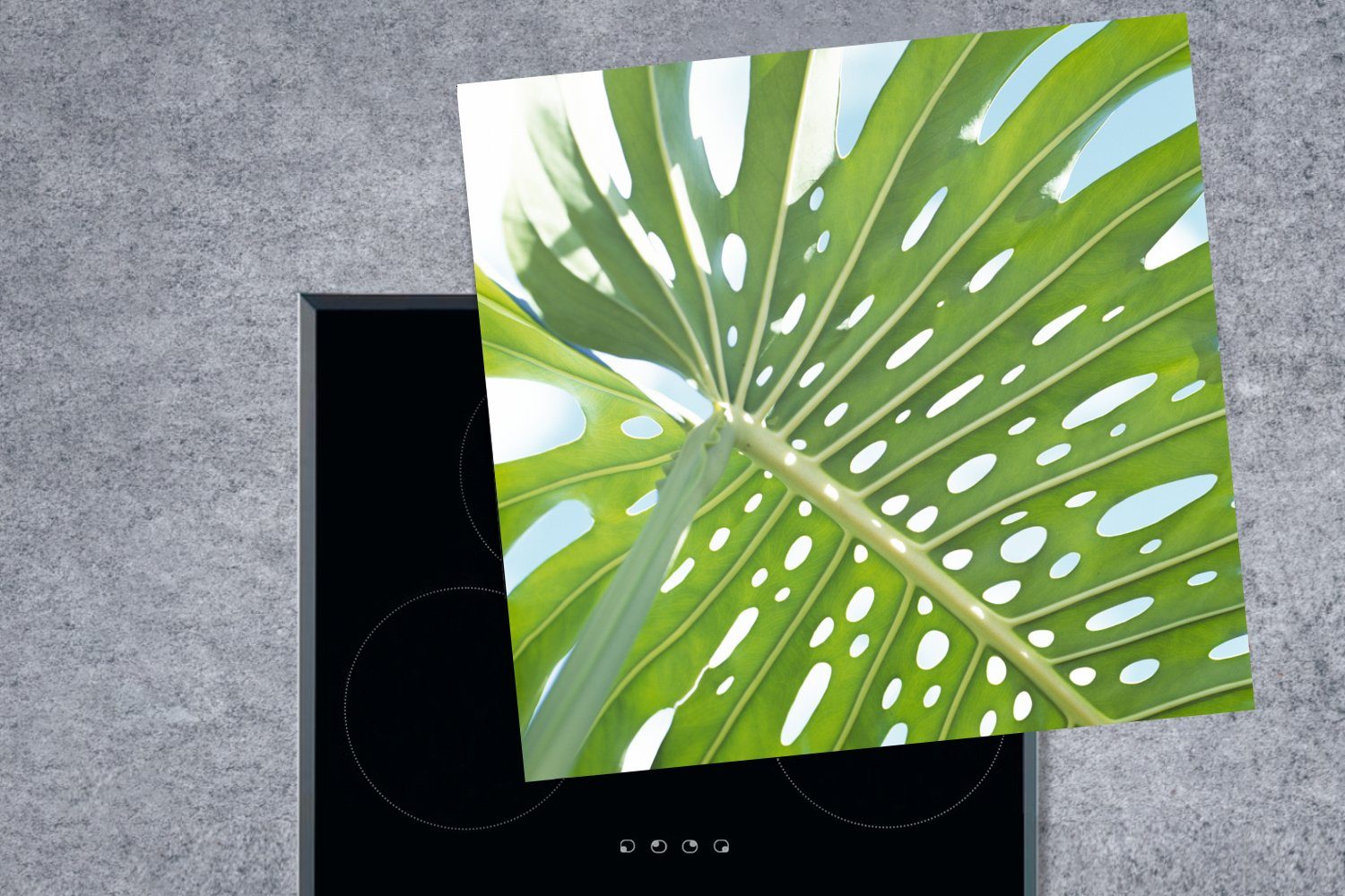 (1 küche Herdblende-/Abdeckplatte Ein cm, in 78x78 für botanisches Ceranfeldabdeckung, Arbeitsplatte Blatt Vinyl, grünes MuchoWow Sonne, der tlg),