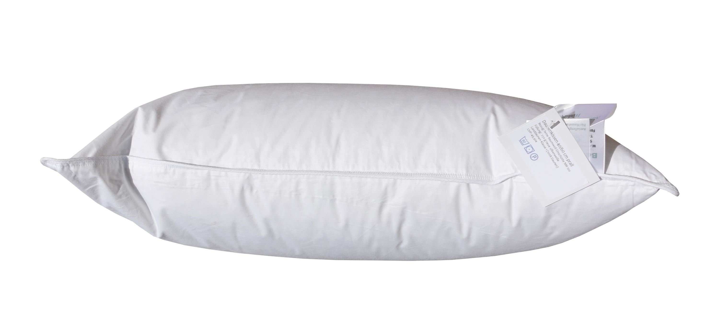 Betten Hofmann Kopfkissen Betten Hofmann Daunenkissen Kopfkissen 40x60 cm 2 günstig online kaufen