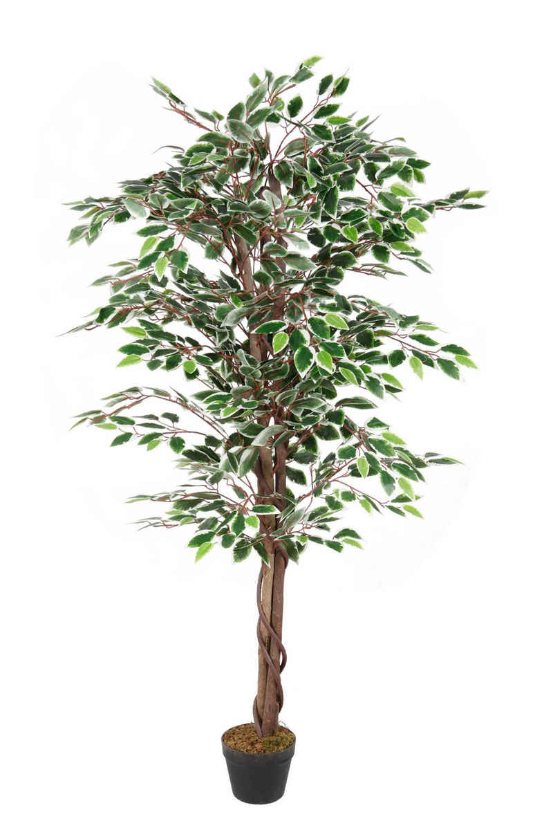 Kunstbaum Kunstpflanze im Blumentopf 160 cm - Benjamini Zimmerpflanze, Spetebo, Höhe 160.00 cm, Künstliche Deko Zimmerpflanze im schwarzen Topf - Kunstblume
