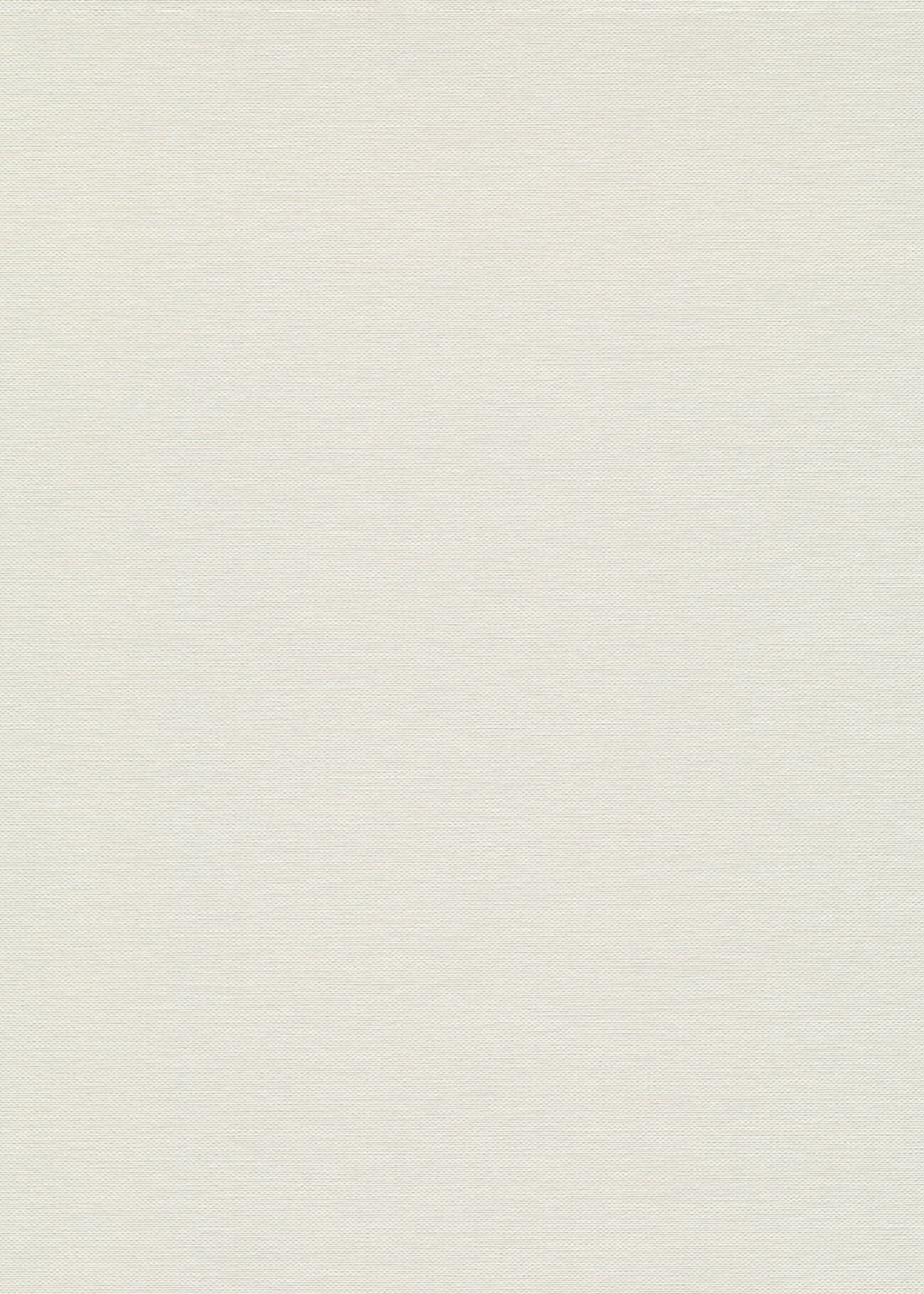 Erismann Vliestapete Unistapete Stoffoptik beige Erismann 1054126