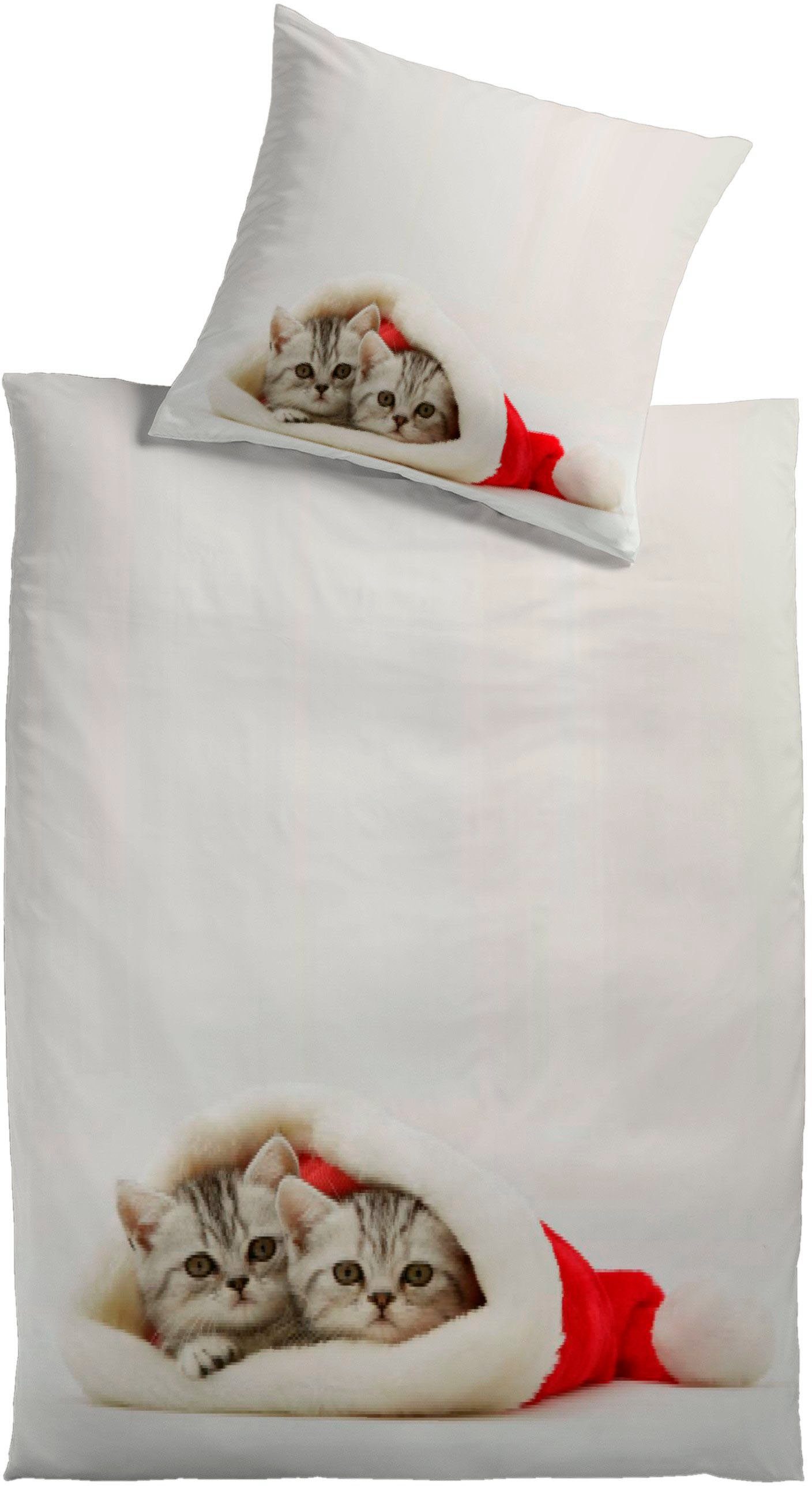 Bettwäsche Katzenmotiv, KiNZLER, Renforcé, 2 teilig, aus Baumwoll-Renforcé