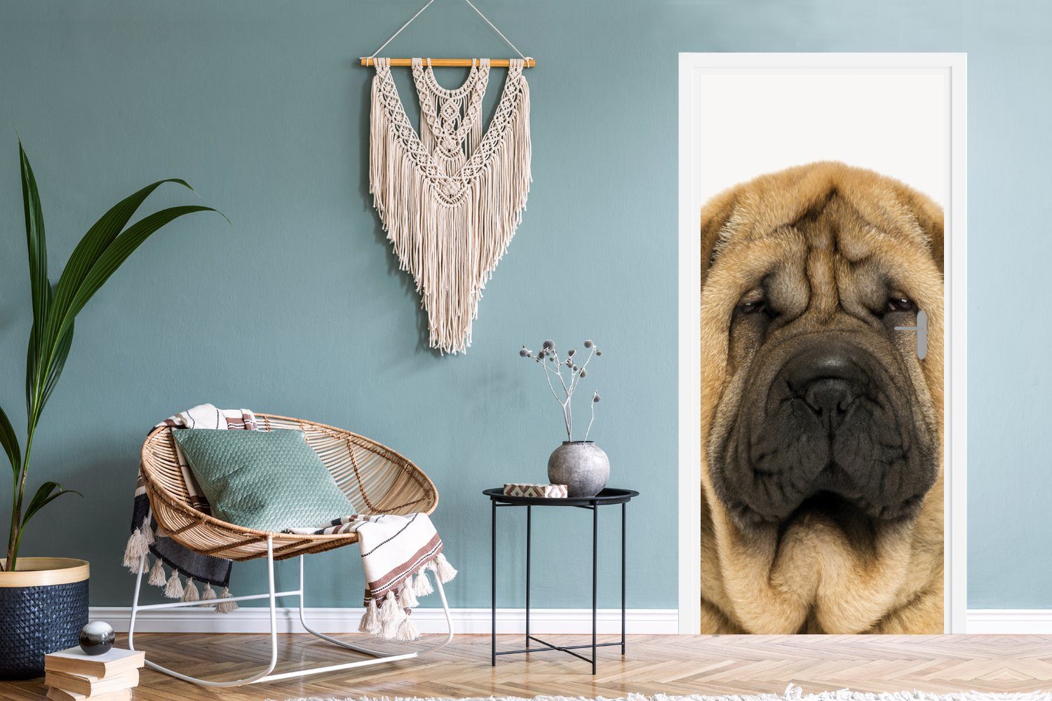 - Türaufkleber, Sharpei Haustiere Matt, cm für St), Mädchen Tür, Türtapete 75x205 bedruckt, (1 MuchoWow Kinder, Hund - - Fototapete - - Jungen