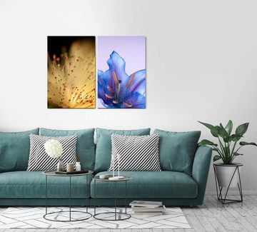 Sinus Art Leinwandbild 2 Bilder je 60x90cm Blüten Sommer Nahaufnahme Blau Zart Dekorativ Entspannend