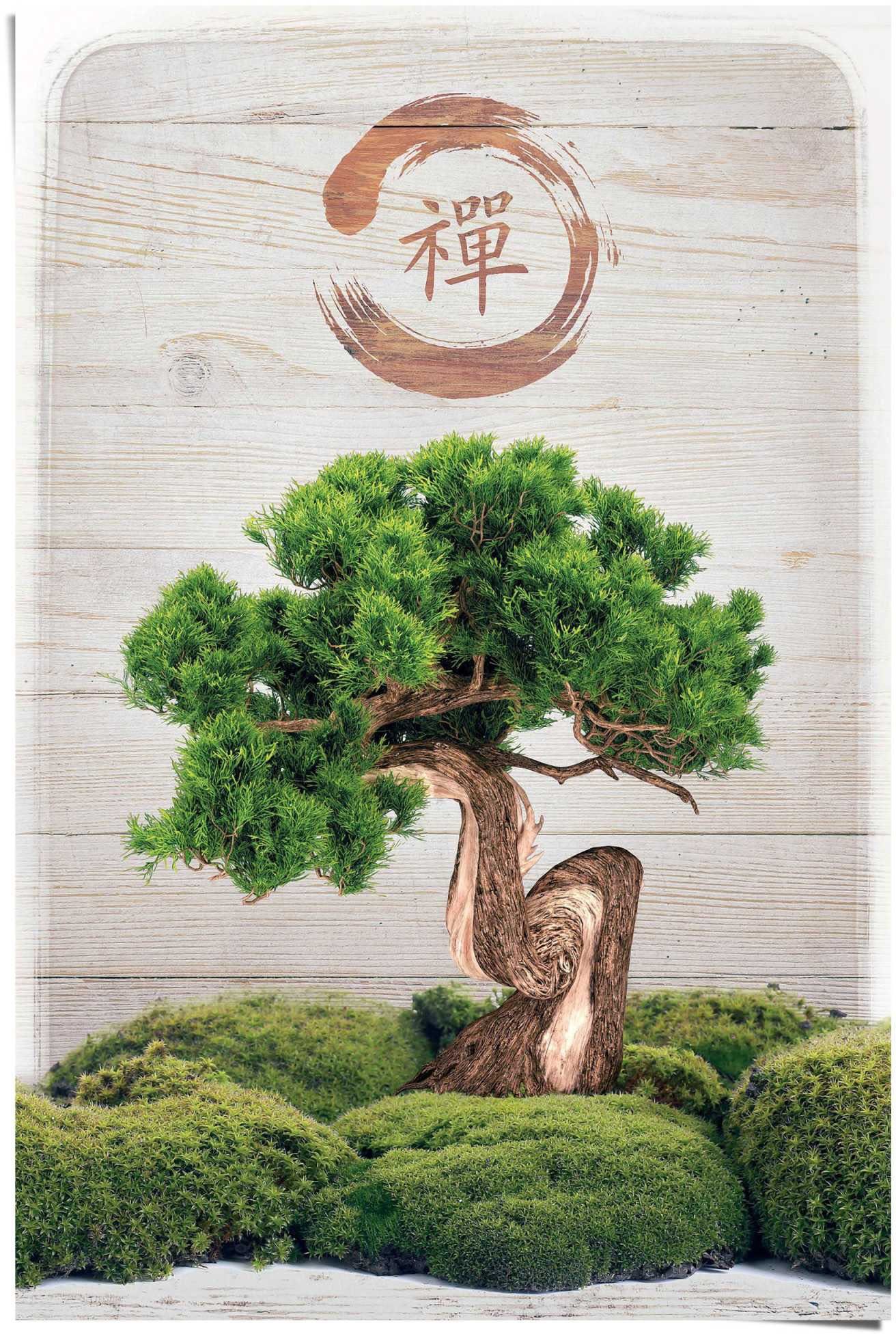 Reinders! Poster Bonsai Zen, St) (1