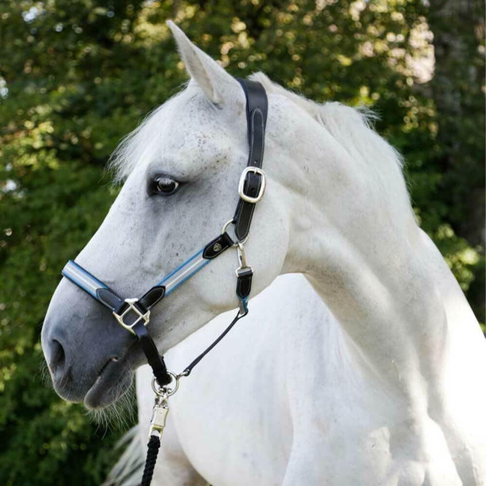 Covalliero Halfter Pferd Bellano Covalliero - Leder Halfter