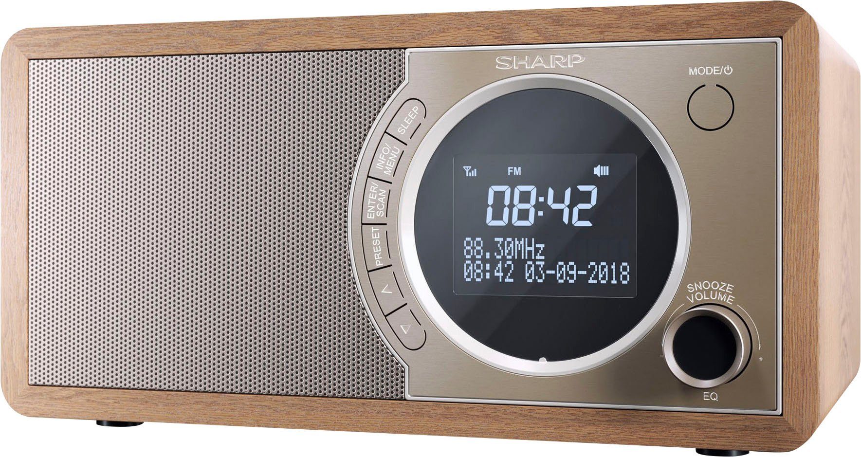 Sharp DR-450 Digitalradio (DAB) (Automatische Senderverfolgung, Digitalradio (DAB), FM-Tuner mit RDS, 6 W)