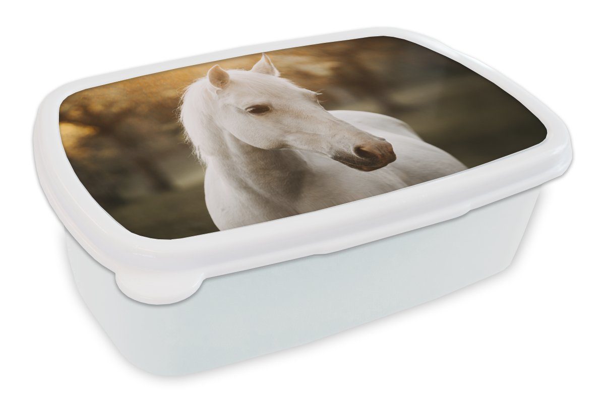 MuchoWow Lunchbox Pferd - Sonne - Herbst - Tiere - Natur, Kunststoff, (2-tlg), Brotbox für Kinder und Erwachsene, Brotdose, für Jungs und Mädchen weiß