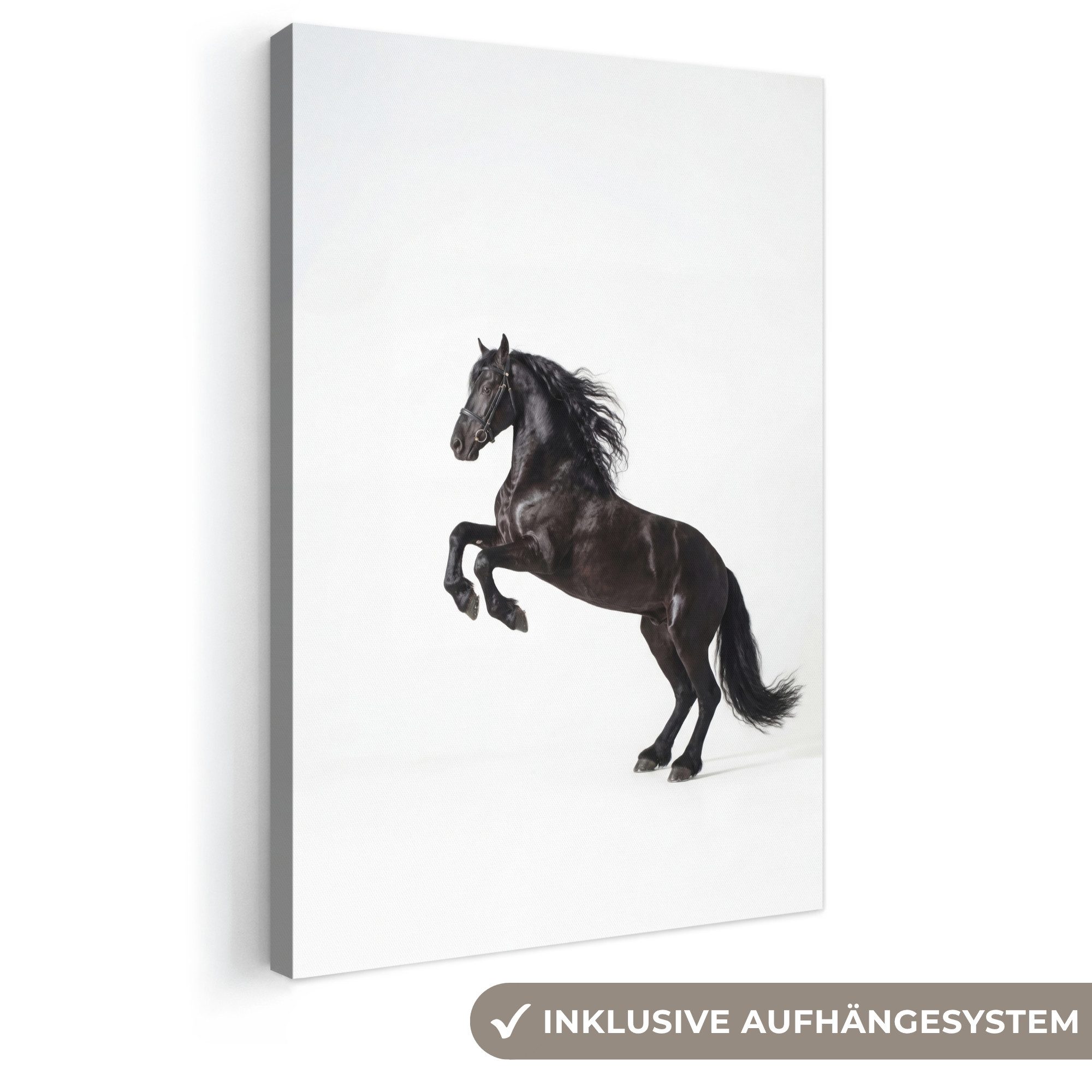 OneMillionCanvasses® Leinwandbild Schwarz - Pferd - Porträt, Fotodruck (1 St), Leinwand Canvas Wandbild, Wanddekoration 20x30 cm