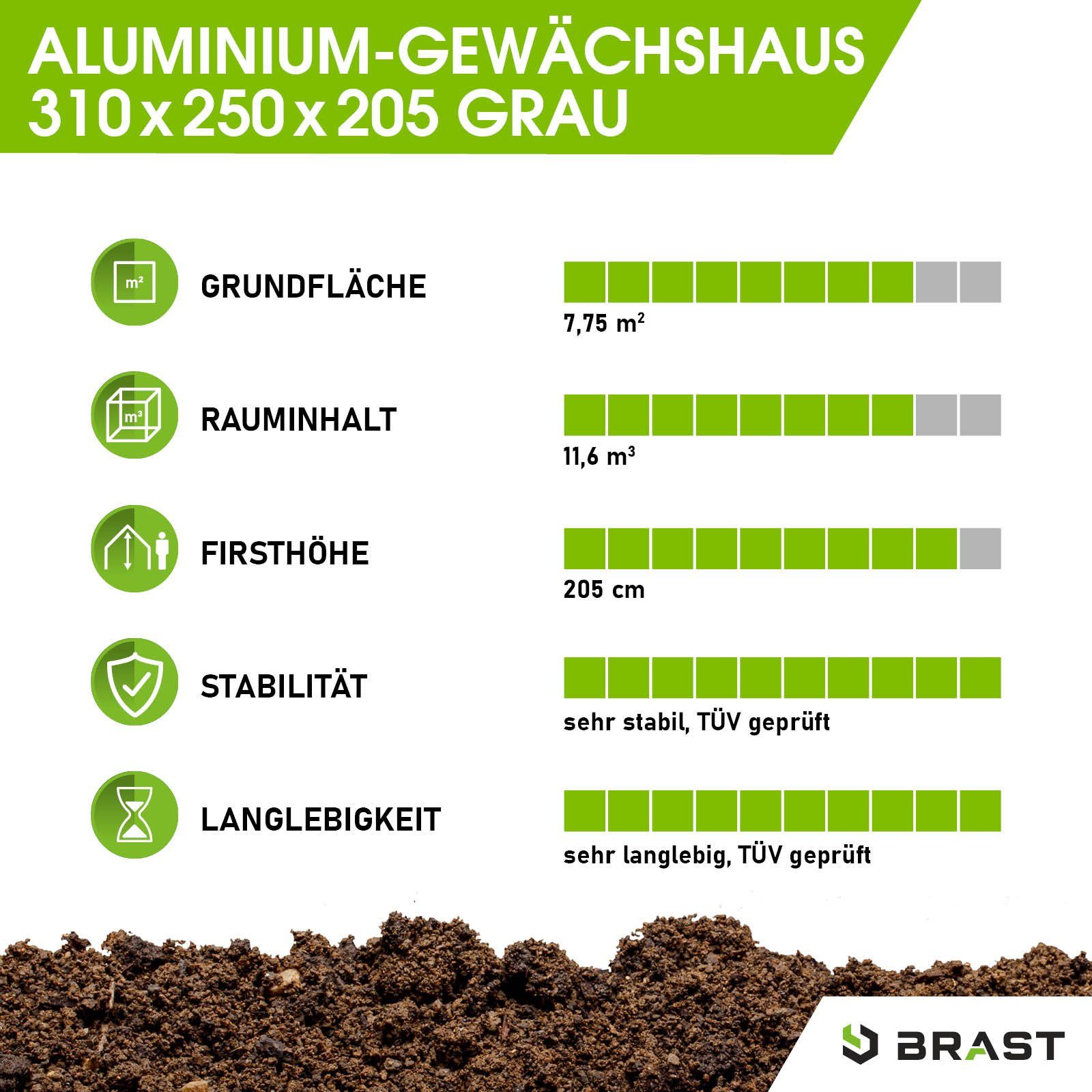 BRAST Gewächshaus ALU mit Fundament rostfrei 310x250x205cm TÜV geprüft, BxT günstig online kaufen