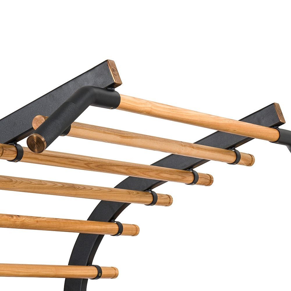 Sport-Thieme Sprossenwand Sprossenwand X, Hauseigene Entwicklung