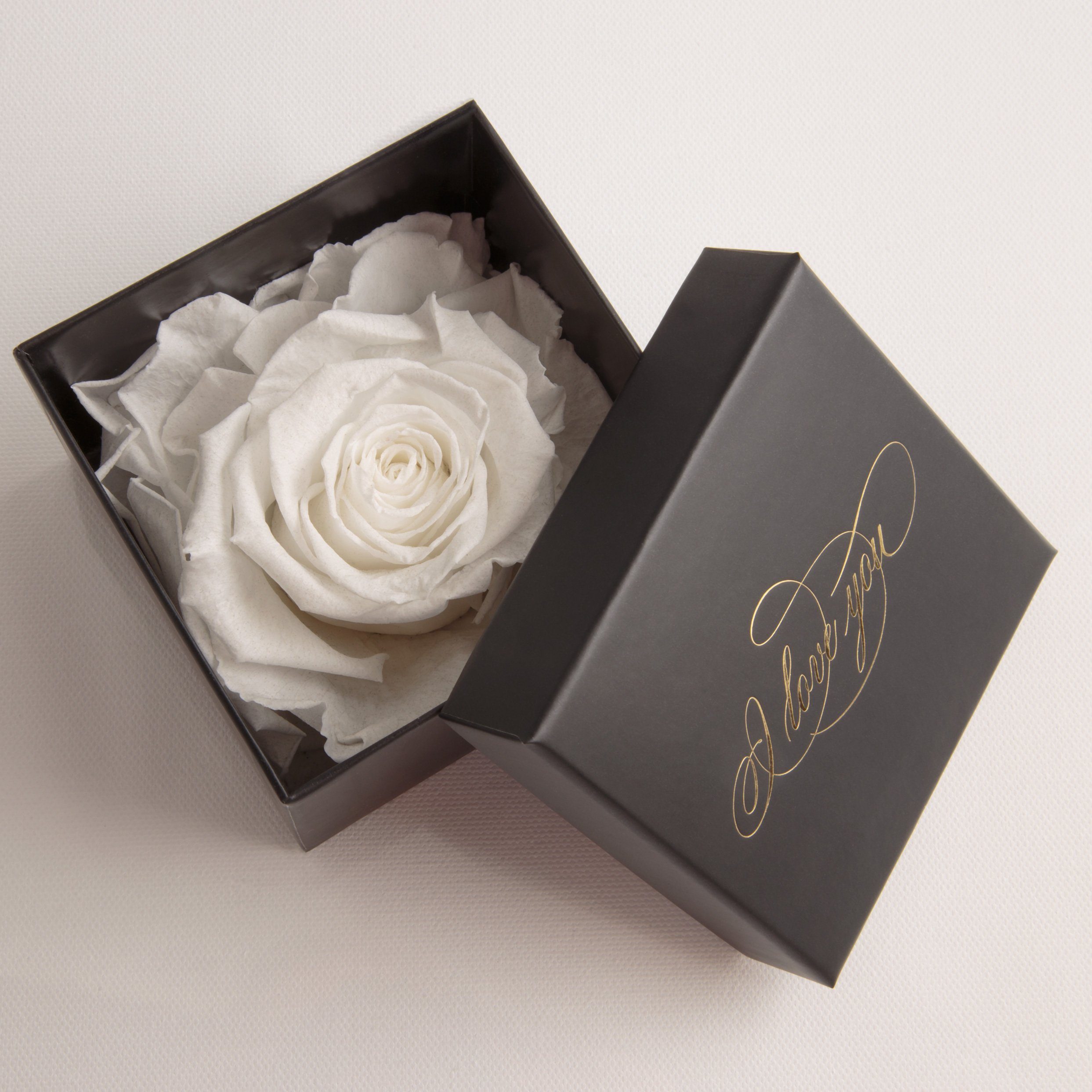 Kunstblume Höhe Box cm, Rose Infinity Weiß Idee Rose, 6 Echte ROSEMARIE Heidelberg, Geschenk Liebesbeweis You I Love Rose konserviert SCHULZ