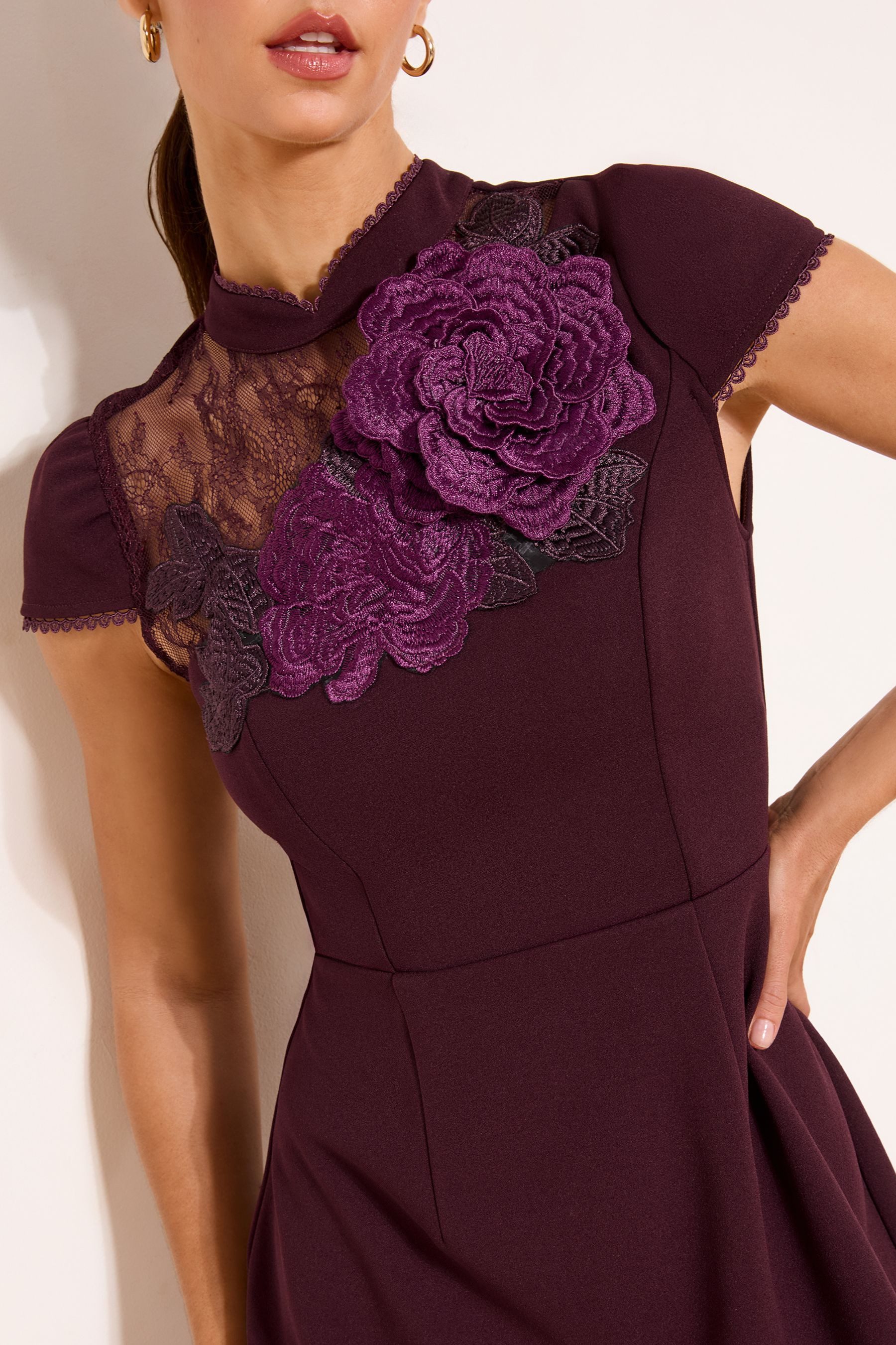 LIPSY Minikleid Lipsy Hochgeschlossenes Minikleid mit Blumenspitze (1-tlg)