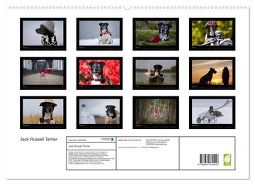 CALVENDO Wandkalender Jack Russell Terrier.....Ein Verwandlungskünstler namens Jake (Premium, hochwertiger DIN A2 Wandkalender 2023, Kunstdruck in Hochglanz)