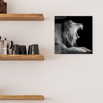 DEQORI Magnettafel 'Brüllender Löwe', Whiteboard Pinnwand beschreibbar