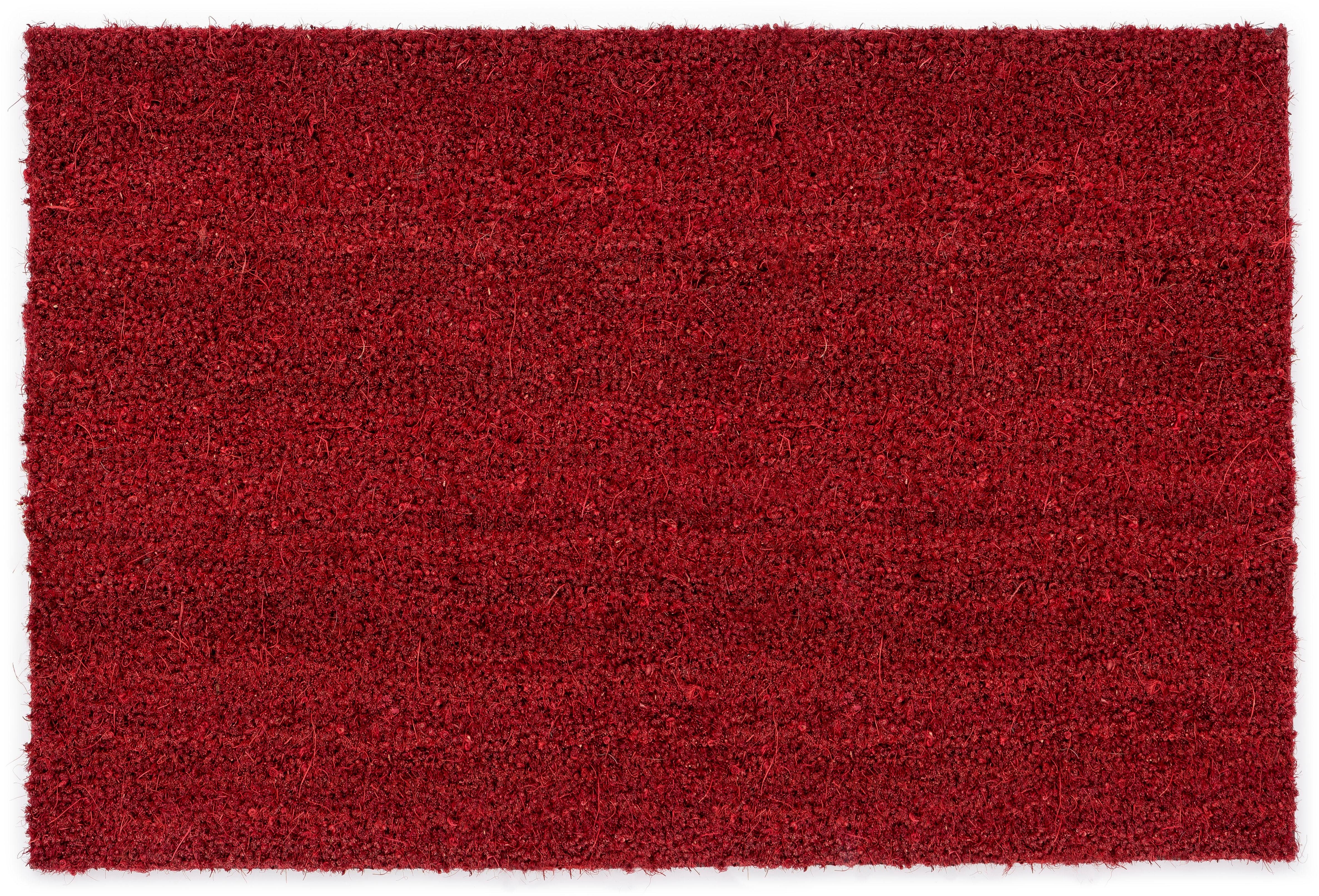 ASTRA Fußmatte Kokosvelours 106, rechteckig, Höhe: 16 mm, Schmutzfangmatte, Kokosmatte, In -und Outdoor geeignet