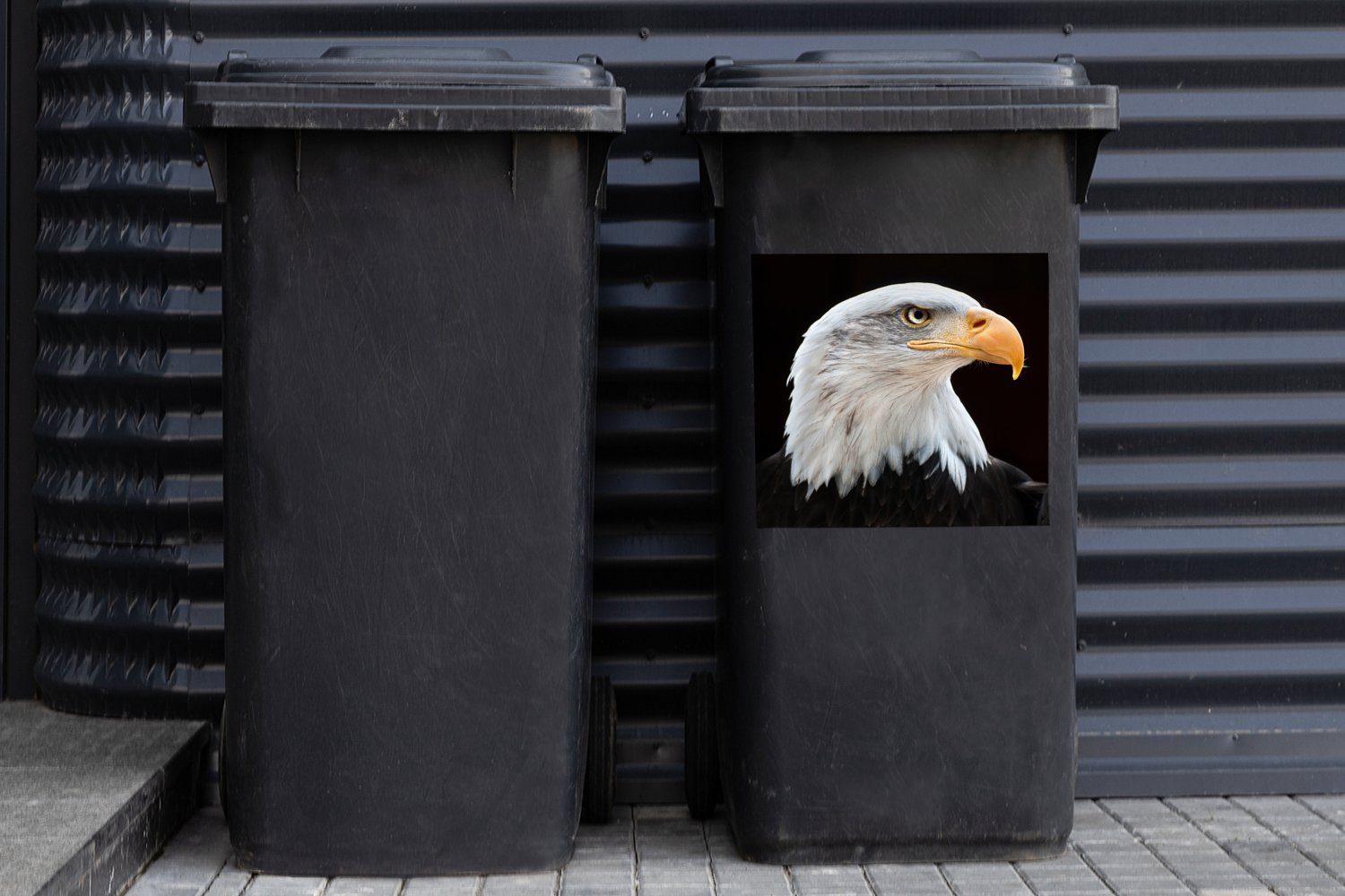 Seeadler Container, - (1 Porträt Wandsticker - Mülleimer-aufkleber, - Vogel Mülltonne, Sticker, MuchoWow Abfalbehälter Seeadler St),