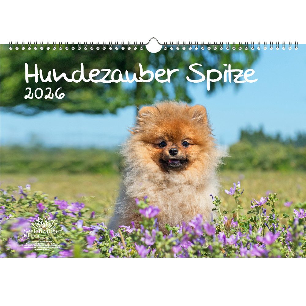 Seelenzauber Wandkalender Hundezauber Spitze DIN A3 Kalender für 2026 Welpen und Hunde