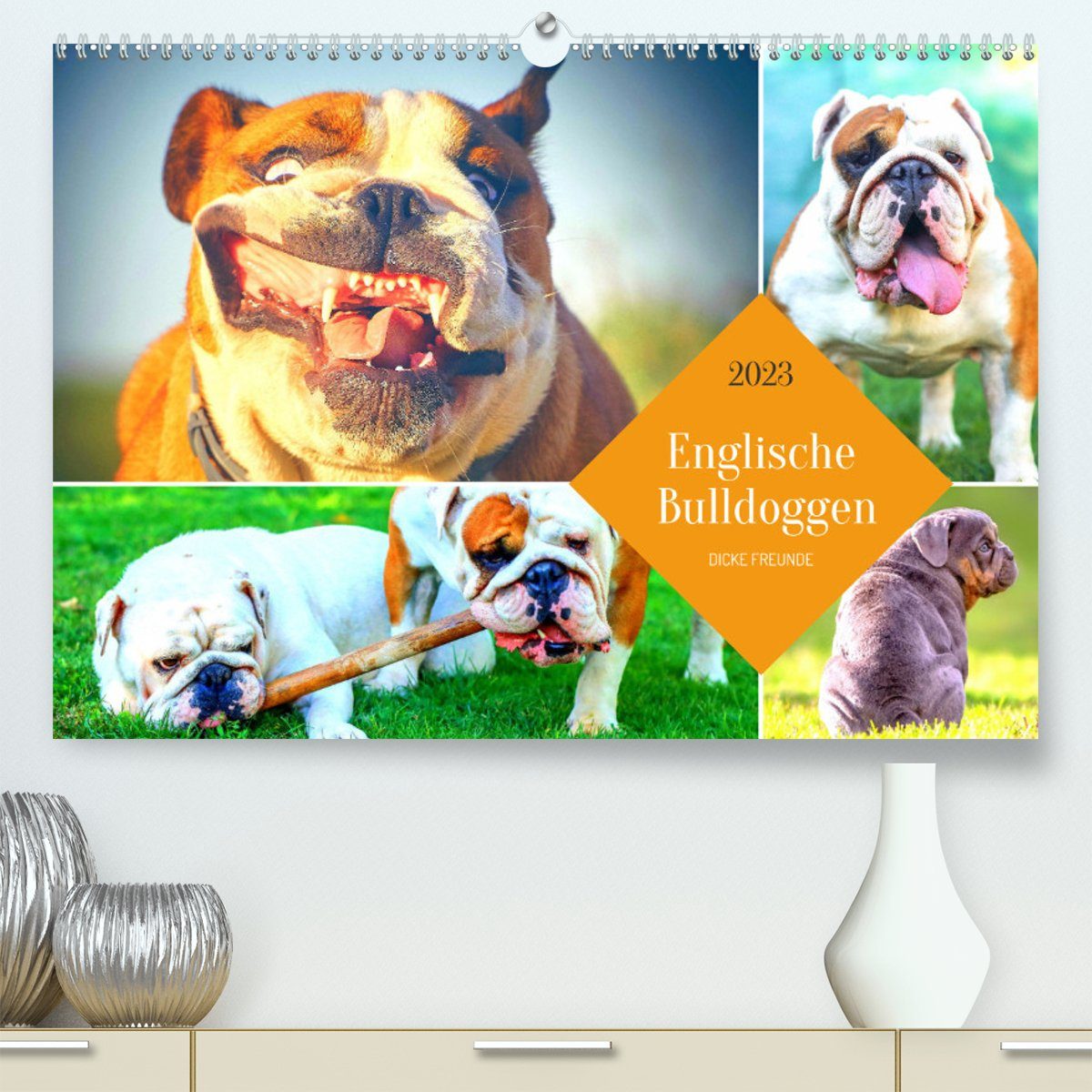 CALVENDO Wandkalender Dicke Freunde. Englische Bulldoggen (Premium, hochwertiger DIN A2 Wandkalender 2023, Kunstdruck in Hochglanz)