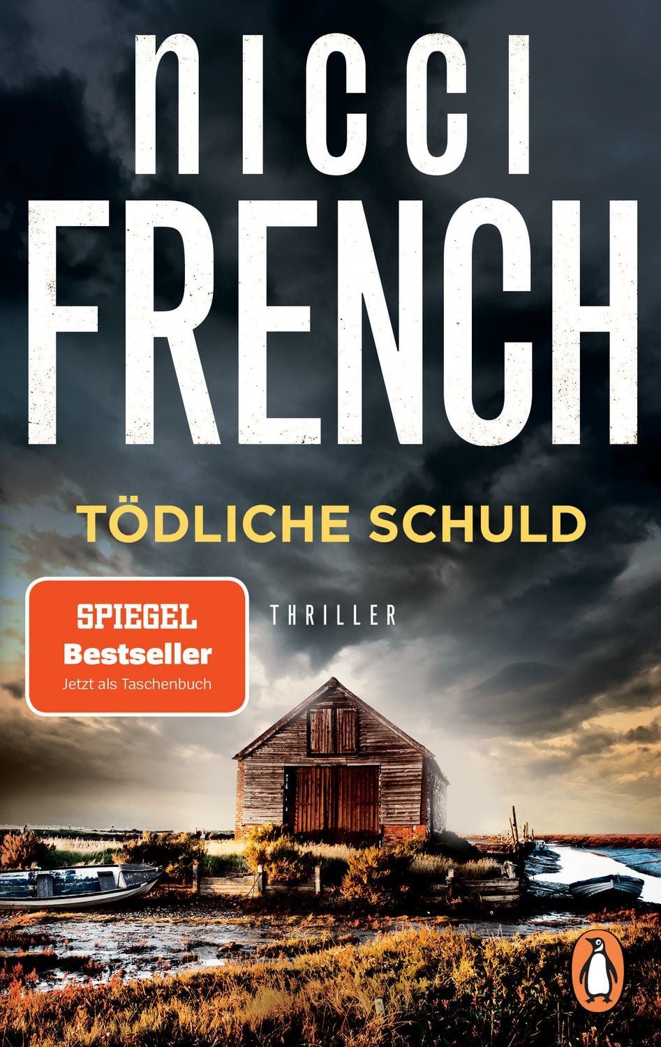 Tödliche Schuld / Nicci French