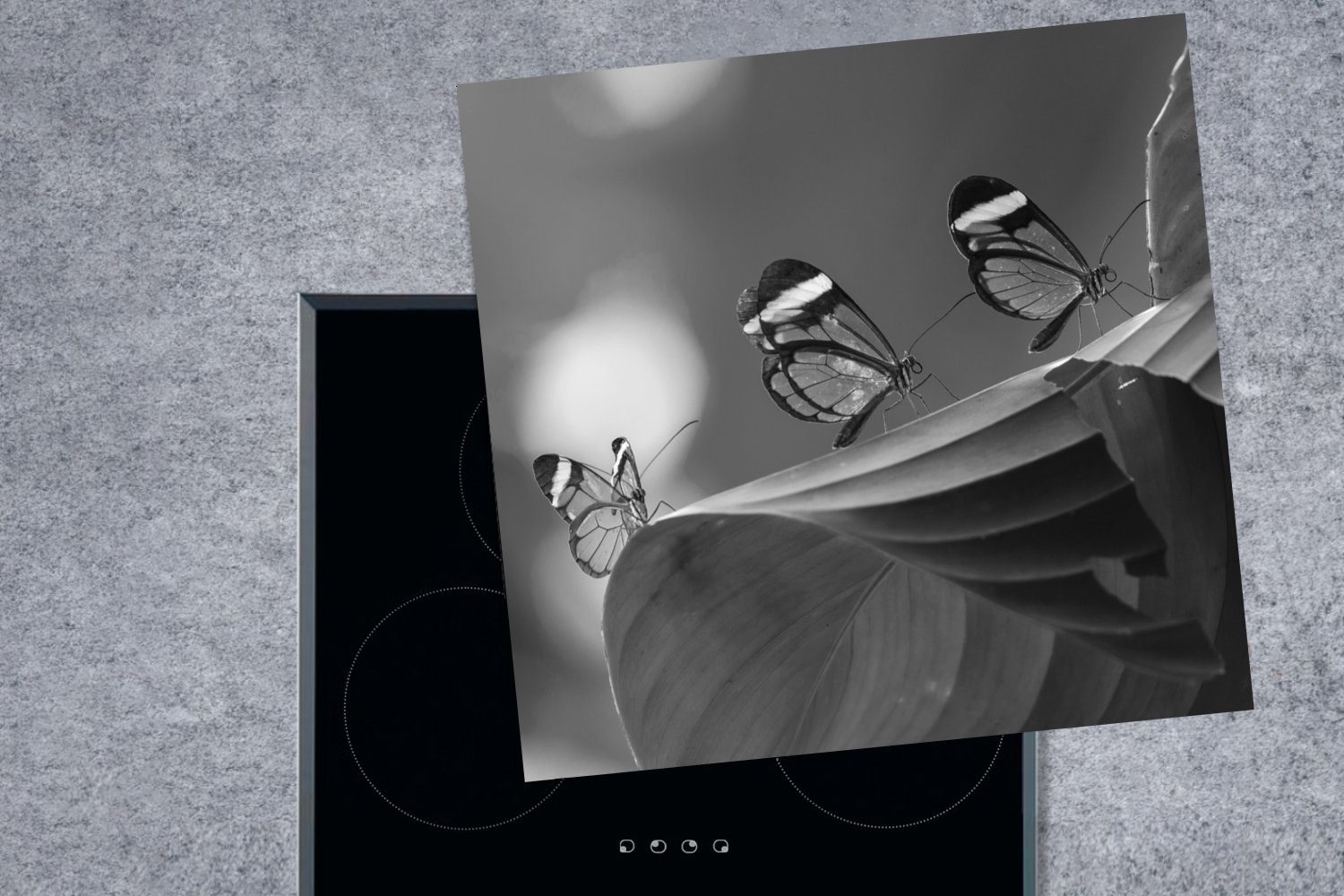 für tlg), (1 MuchoWow Blatt Vinyl, in Costa Schmetterling 78x78 cm, in auf Rica Arbeitsplatte küche schwarz, Transparenter einem Ceranfeldabdeckung, Herdblende-/Abdeckplatte