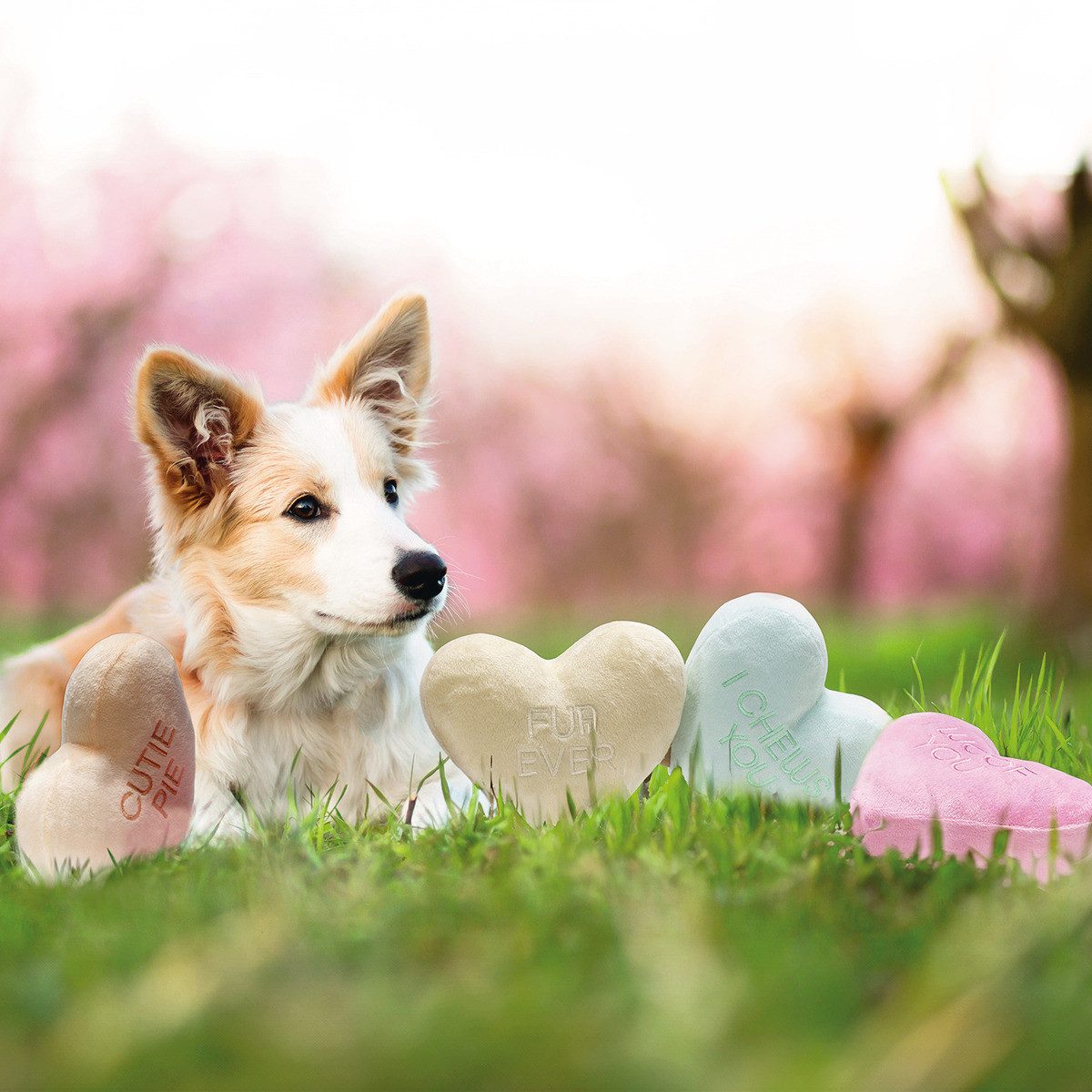 Beeztees Tierkuscheltier Hundespielzeug Herzensdieb aus Plüsch