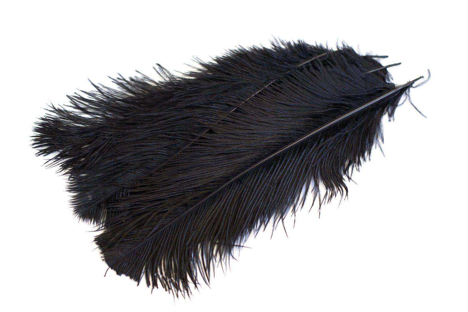 Creativery Bastelfedern, 5 Straußenfedern ca. 30 - 40cm