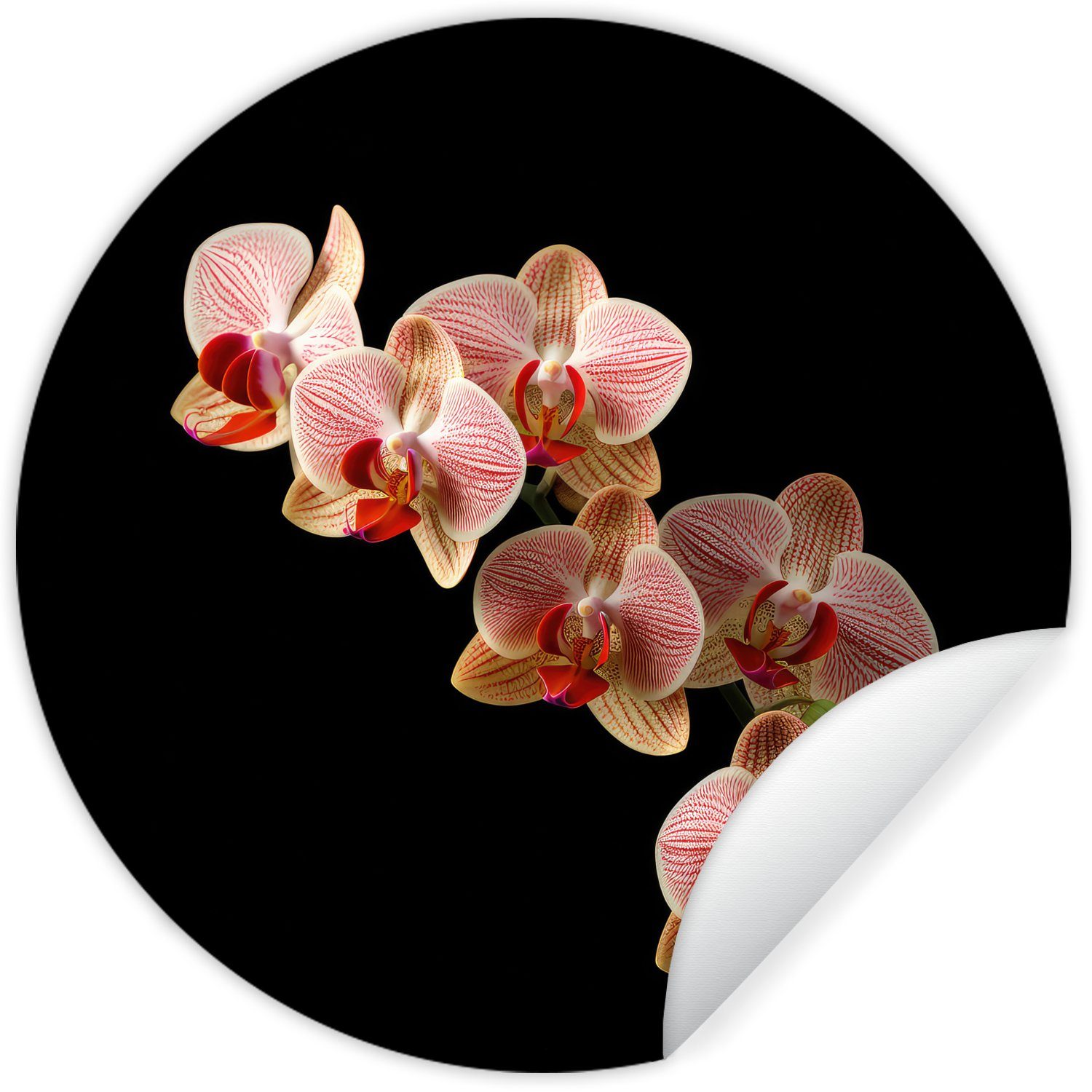 MuchoWow Wandsticker Blumen - Orchidee - Rosa St), für Natur - (1 Botanisch Kinderzimmer, Wohnzimmer - Tapetenaufkleber, Tapetenkreis Rund