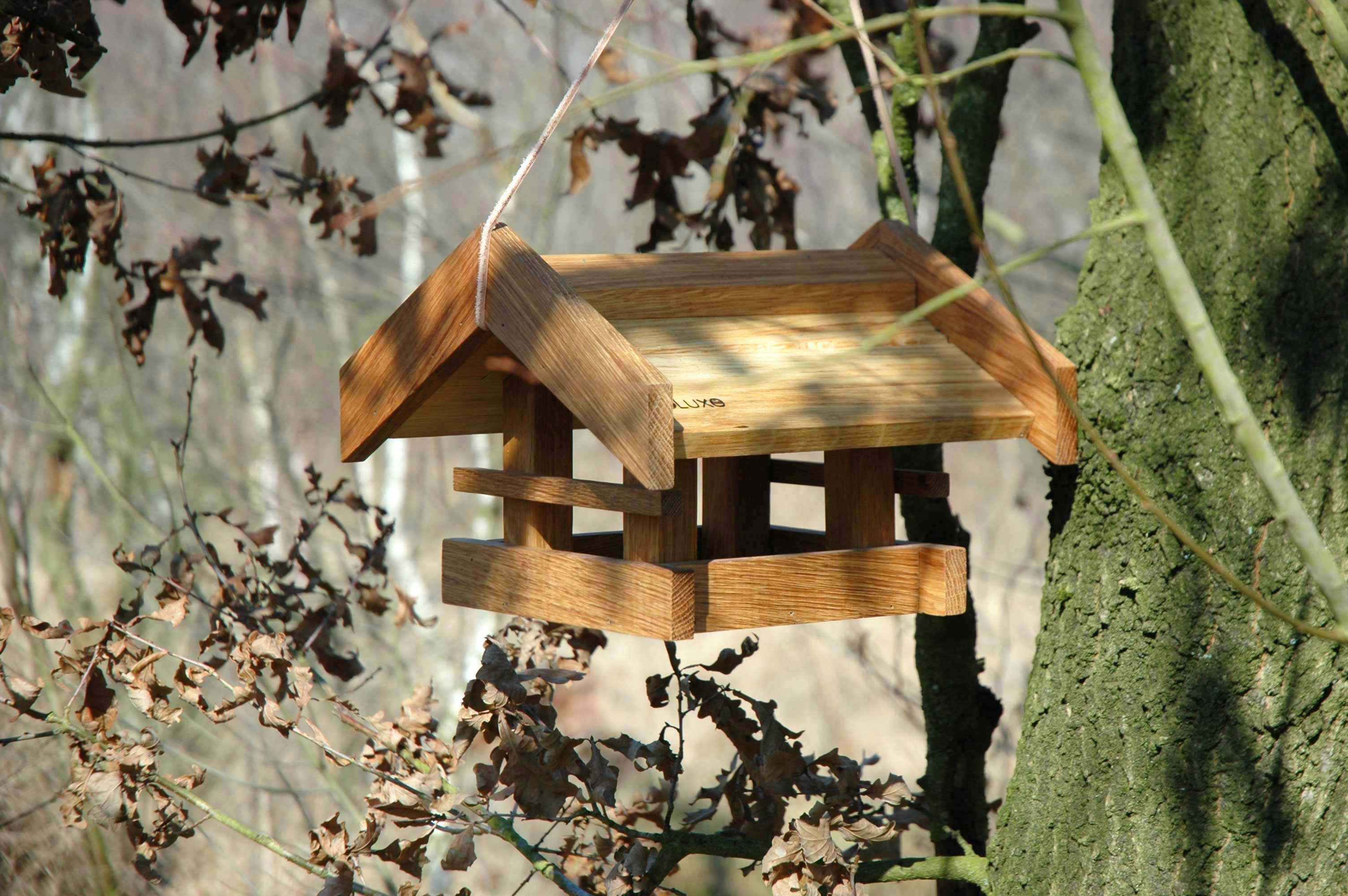 LUXUS-VOGELHAUS Futterhaus Vogelhaus "Basis", Eiche