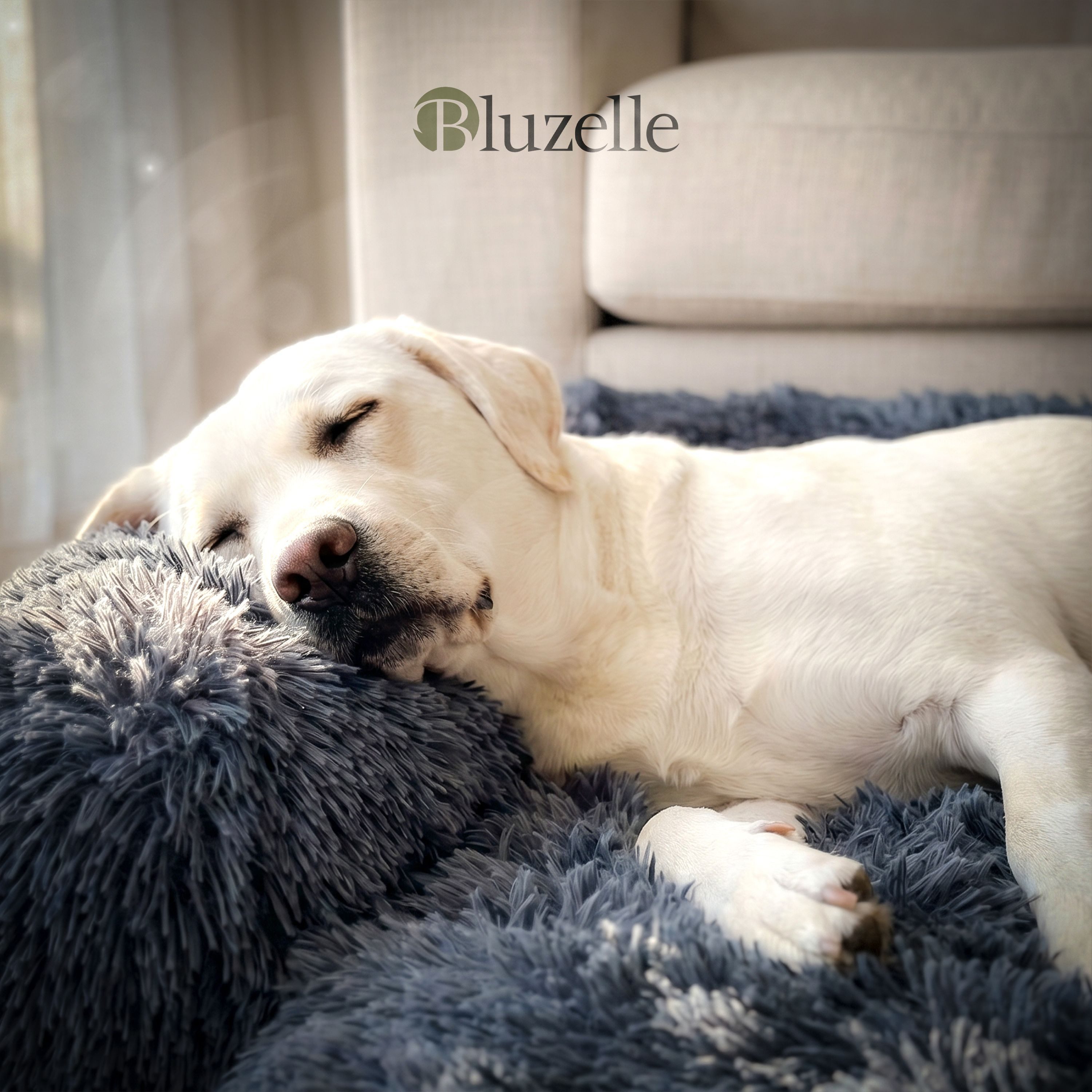 Bluzelle Tierbett Hundebett Sofa Schutz Auflage für grosse Hunde / - L, Plüsch Kunstfell / Bezug Abnehmbar & Waschbar, Wasserdichte Hundematte Couch Möbel Cover Schutzdecke Hundedecke