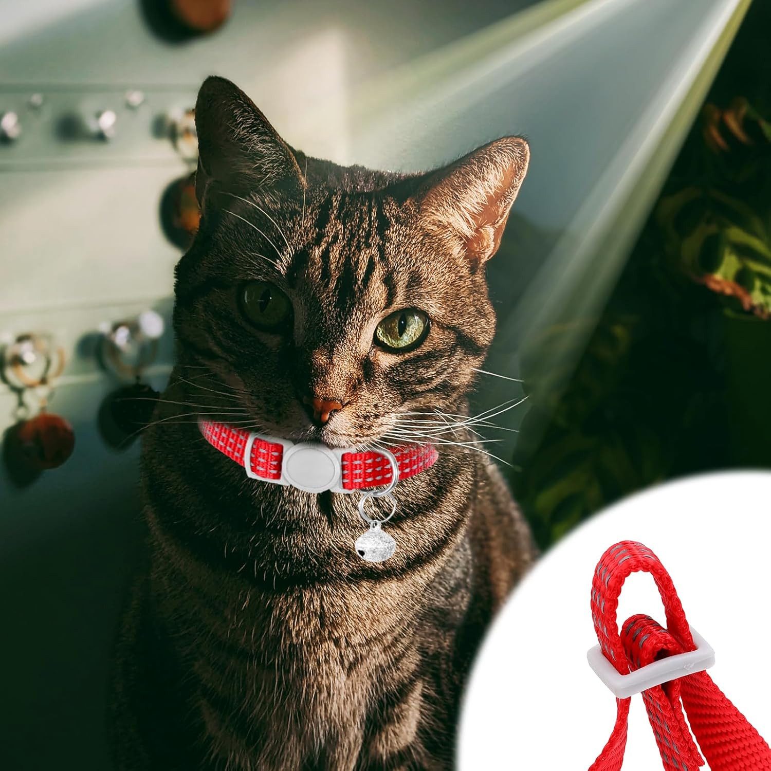 MuffiMau Katzen-Halsband Katzen Halsband reflektierend mit Glöckchen, weich, verstellbar, Nylon, 5er Set verstellbar von 21,5–28 cm – ideal für Katzen & kleine Hunde