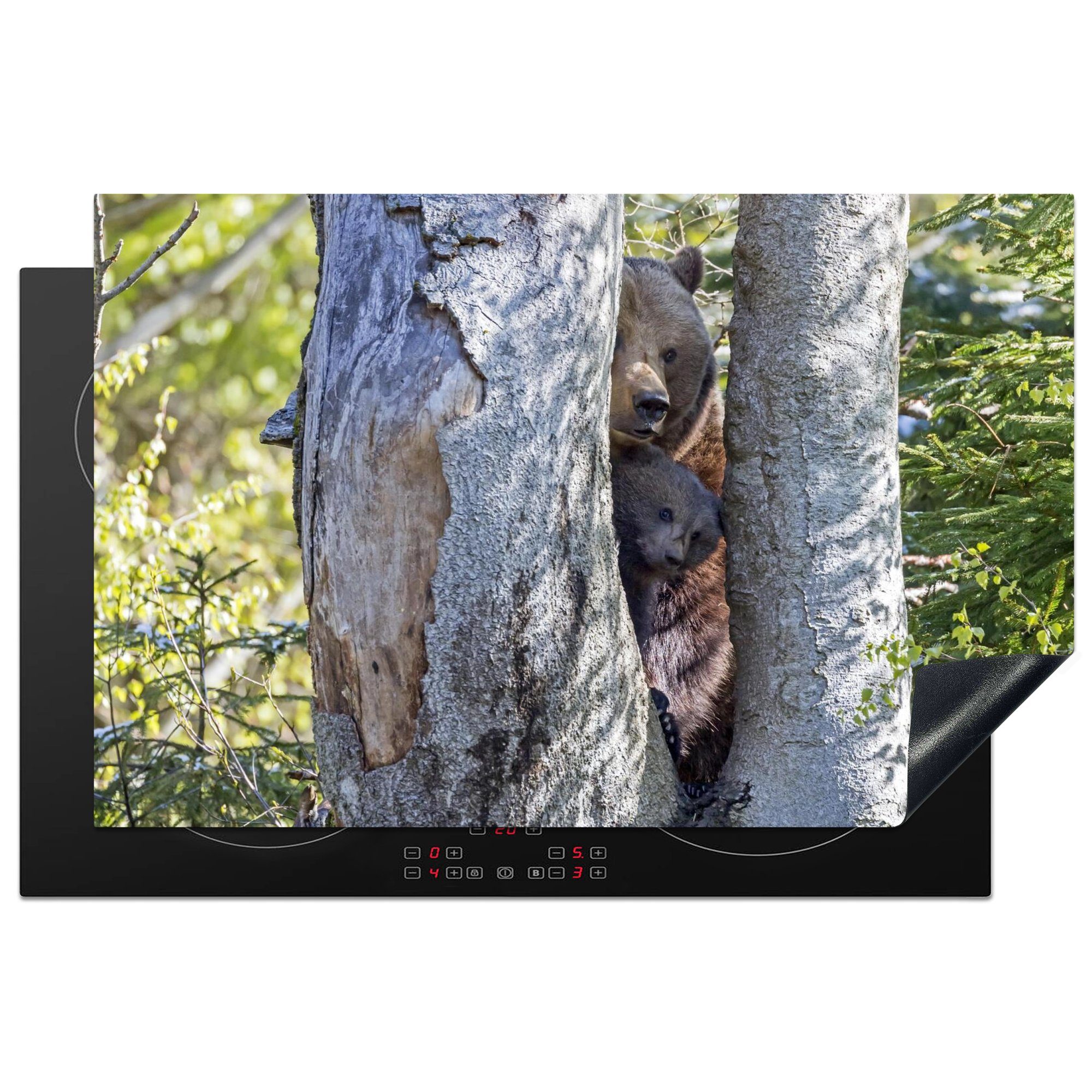 MuchoWow Herdblende-/Abdeckplatte Bärenmutter und ihr Junges stehen an einem Baum, Vinyl, (1 tlg), 81x52 cm, Induktionskochfeld Schutz für die küche, Ceranfeldabdeckung