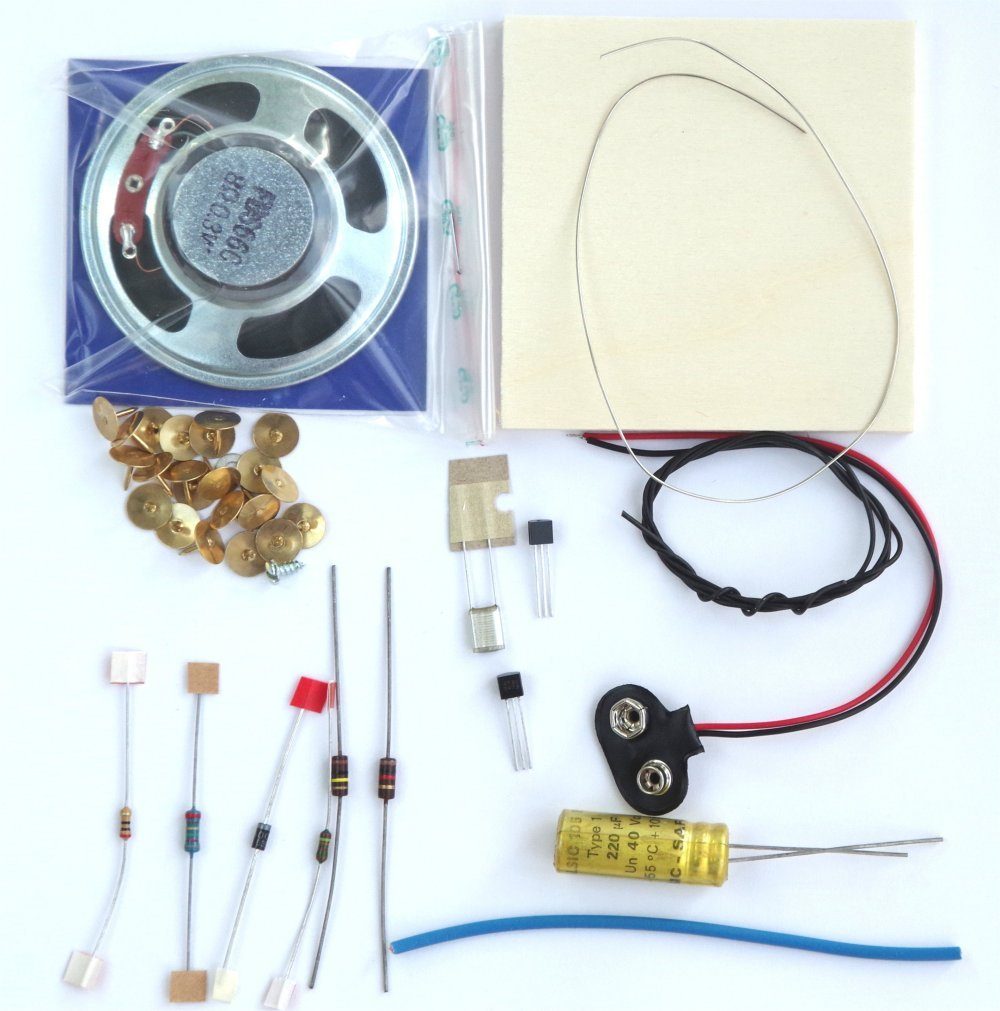 REC electronic Riedinger Experimentierkasten Bleistiftstrich-Miniorgel Bausatz mit Lautsprecher auf Holzbrett