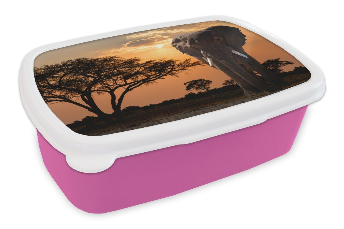MuchoWow Lunchbox Elefant - Baum - Afrika, Kunststoff, (2-tlg), Brotbox für Erwachsene, Brotdose Kinder, Snackbox, Mädchen, Kunststoff rosa