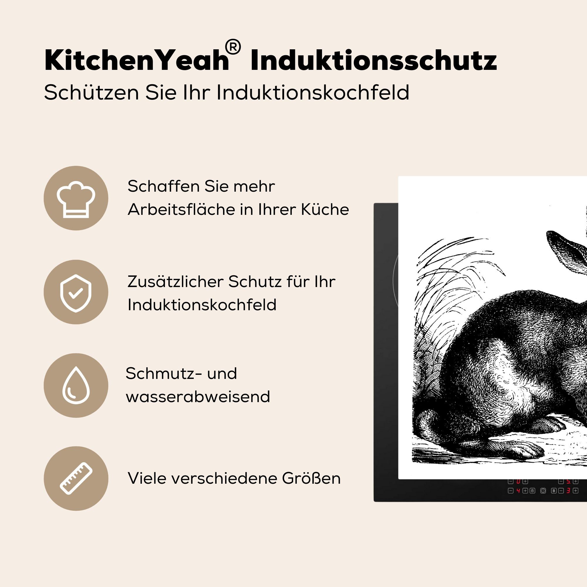 Herdblende-/Abdeckplatte MuchoWow Hase (1 Antiquitäten, Ceranfeldabdeckung, Illustration küche Arbeitsplatte Vinyl, cm, tlg), 78x78 für - -