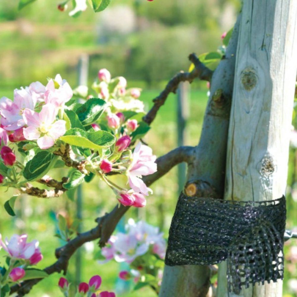 Bradas Leisten-Befestigungsclips Baumanbinder 3cm x 50m, (1-St)