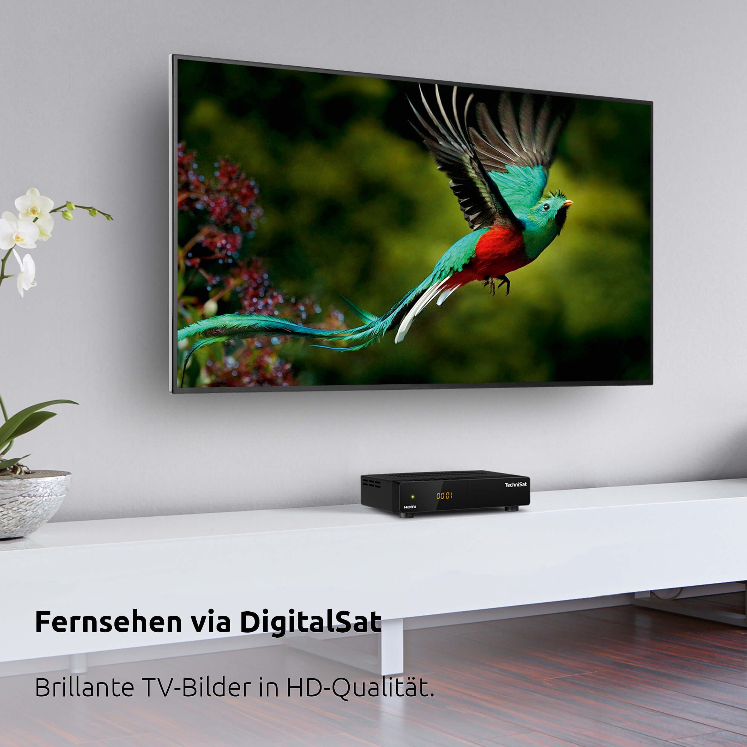 TechniSat HD-S 210 SAT-Receiver (7-Tage-EPG, Vorprogrammiert, Einkabellösung, AAC, USB-Mediaplayer)