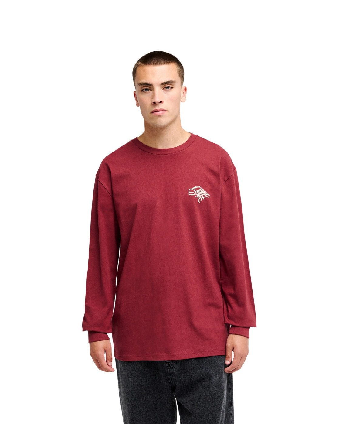 Quiksilver Langarmshirt QS Earth