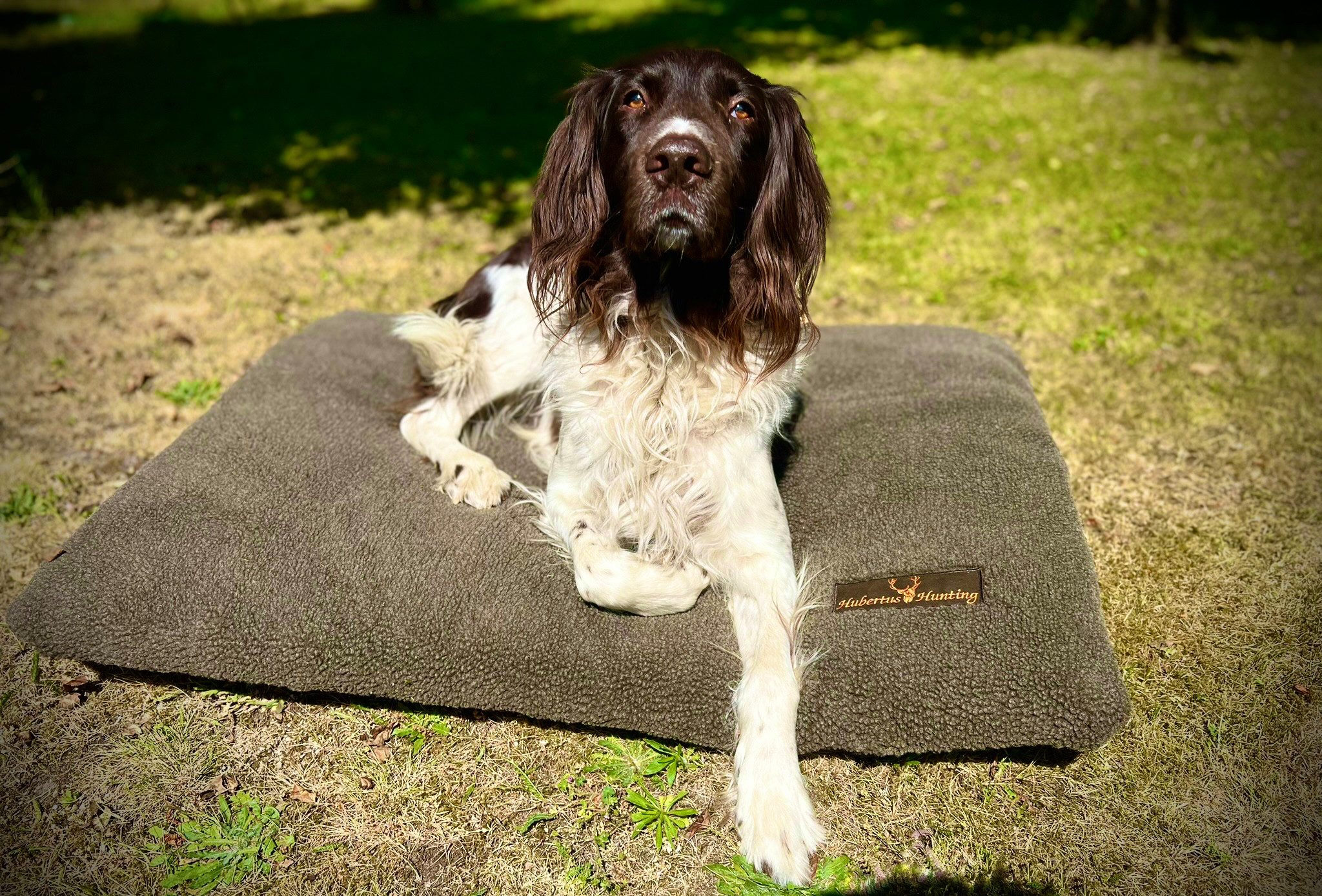 Hubertus® Hunting Hundekorb HUBERTUS Faserpelz Hundedecke 70x100cm Oliv günstig online kaufen