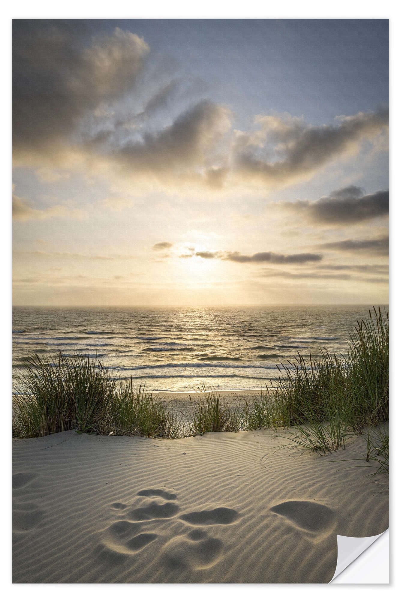 Wandfolie Jan Christopher Becke