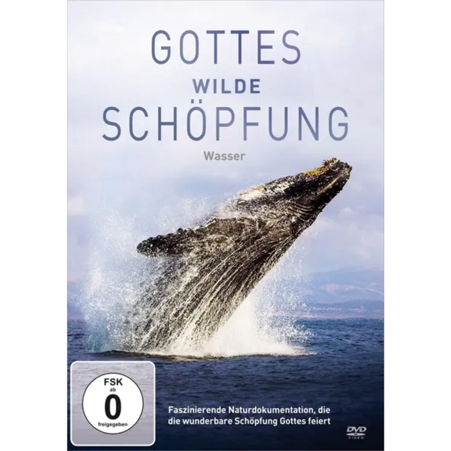 Best DVD Gottes wilde Schöpfung: Wasser (DVD)