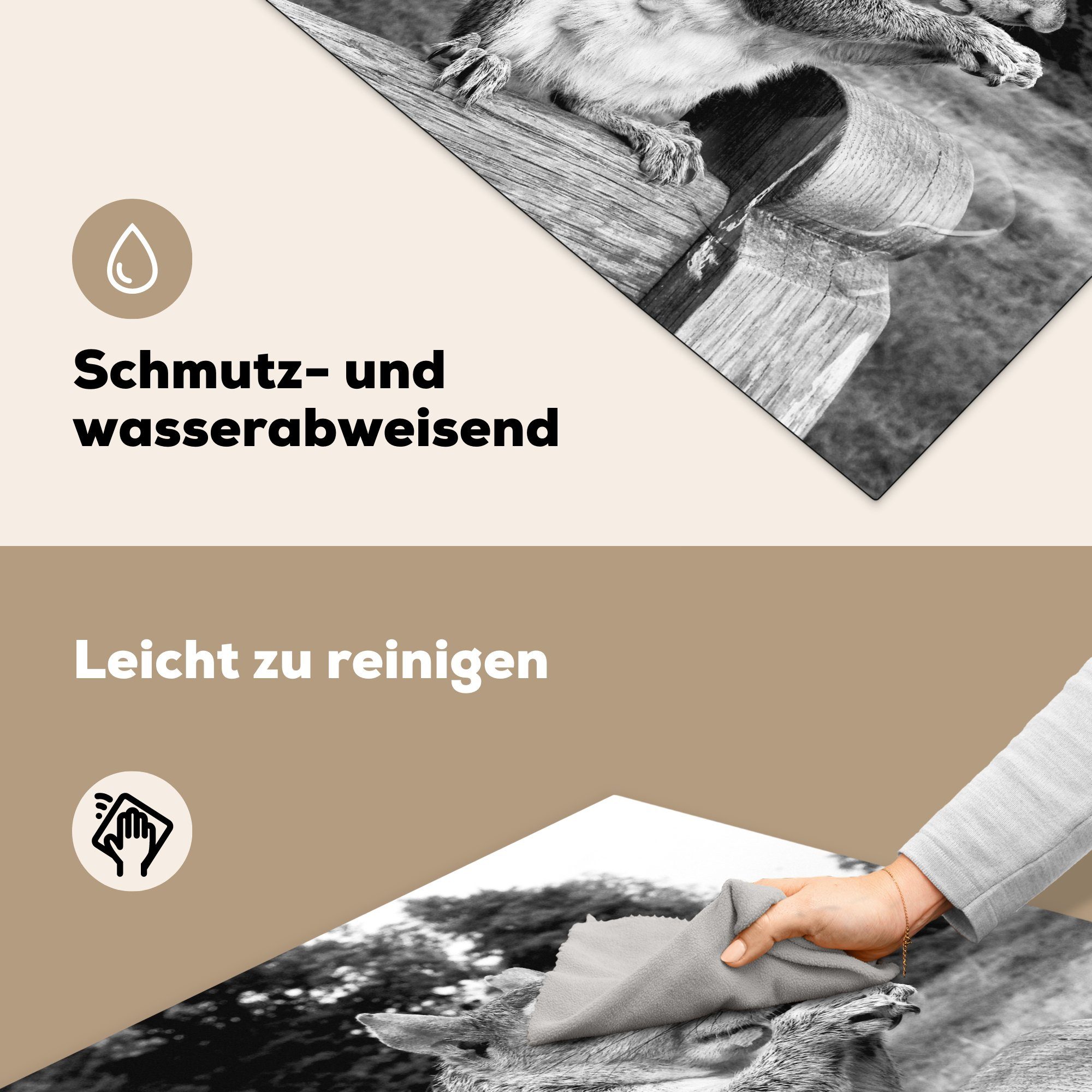 MuchoWow Herdblende-/Abdeckplatte Eichhörnchen Holzbank Vinyl, weiß, 78x78 Ceranfeldabdeckung, in für cm, (1 auf tlg), schwarz küche und Arbeitsplatte