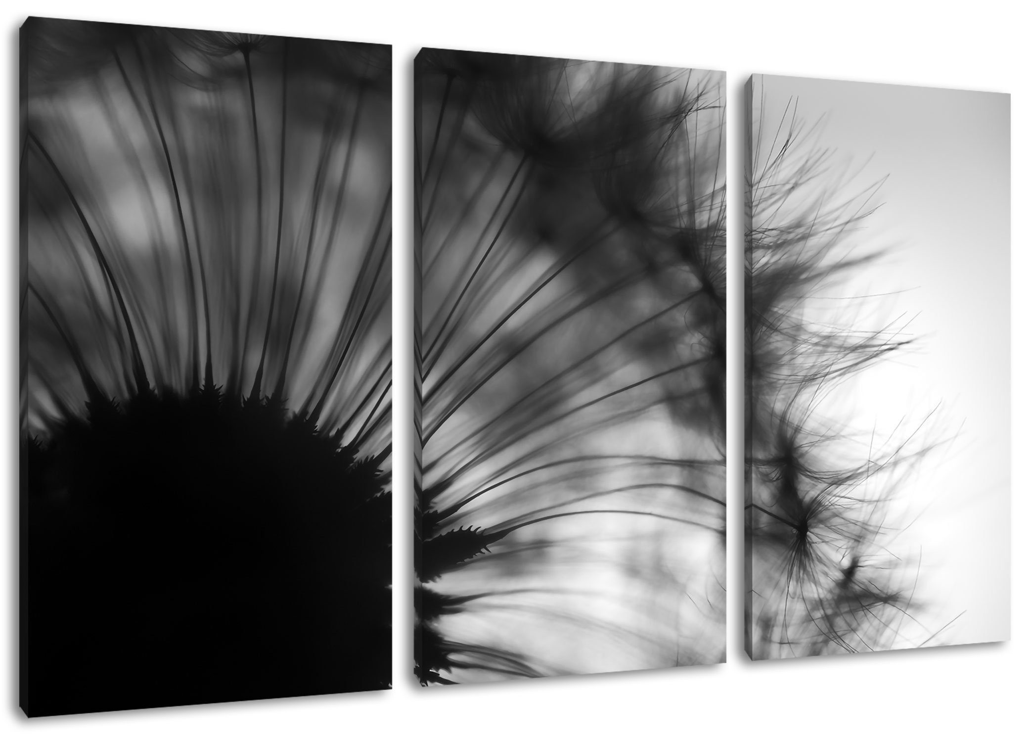 Pixxprint Leinwandbild Pusteblume vor Hintergrund, Pusteblume vor Hintergrund 3Teiler (120x80cm) (1 St), Leinwandbild fertig bespannt, inkl. Zackenaufhänger