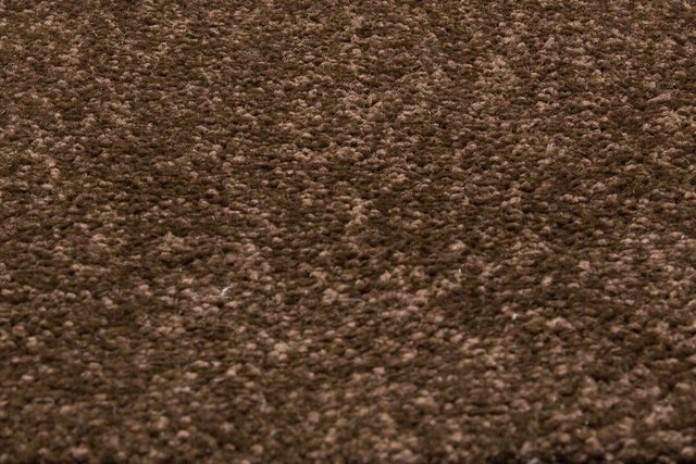 Andiamo Teppichboden Bari Coupon im Wunschmaß, braun, 5 m breit