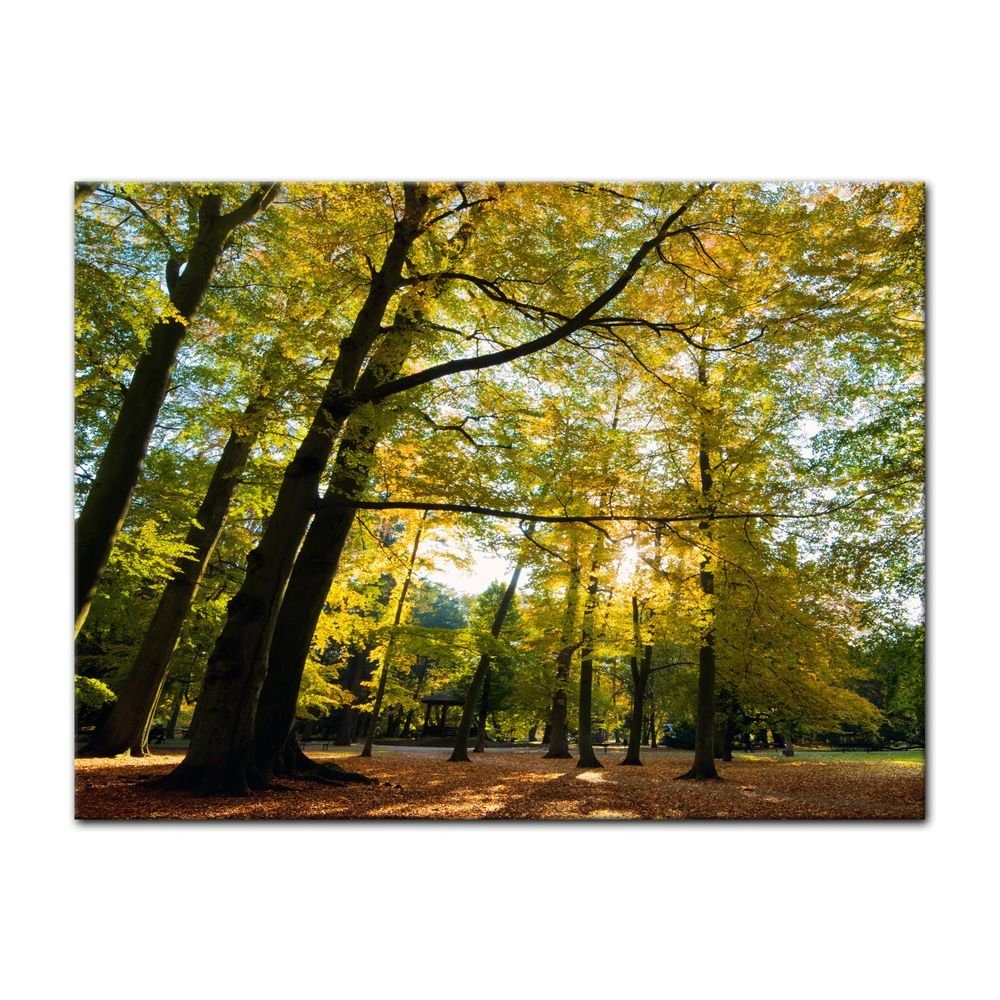 Bilderdepot24 Leinwandbild Blätterfall im Herbst, Landschaften