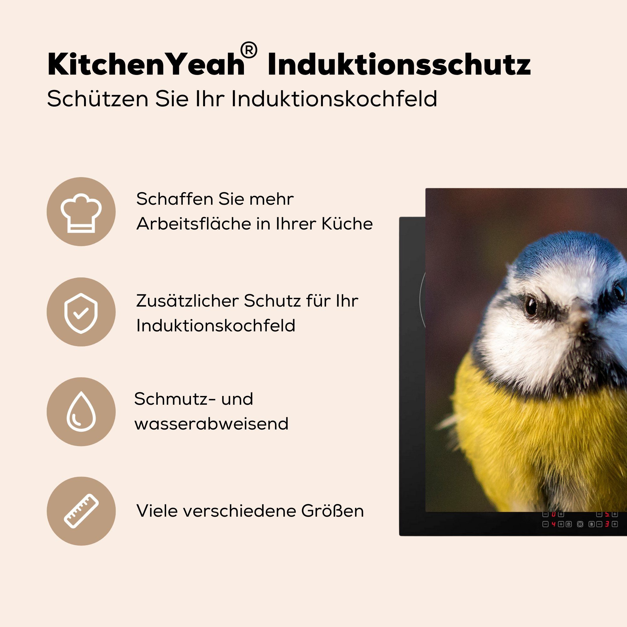 Vinyl, Vogelkopf (1 Herdblende-/Abdeckplatte küche 78x78 tlg), cm, MuchoWow der für Blaumeise, Ceranfeldabdeckung, Arbeitsplatte