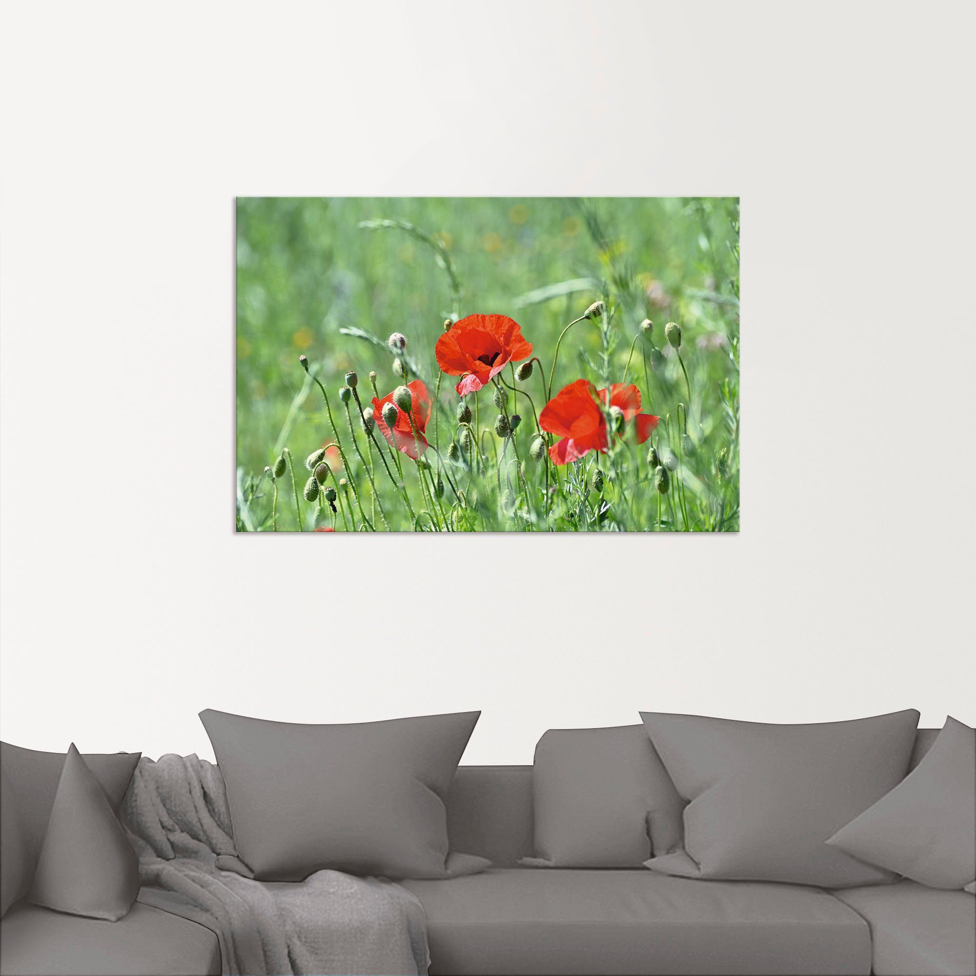 Artland Wandbild Poster Größen Leinwandbild, Blumenbilder oder versch. als Alubild, Gras, Wandaufkleber im in St), Mohnblumen (1