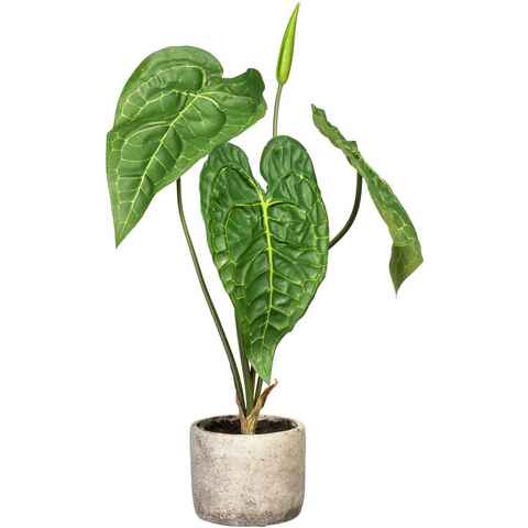 Künstliche Zimmerpflanze Anthurie Anthurie, Creativ green, Höhe 60 cm, im Zementtopf