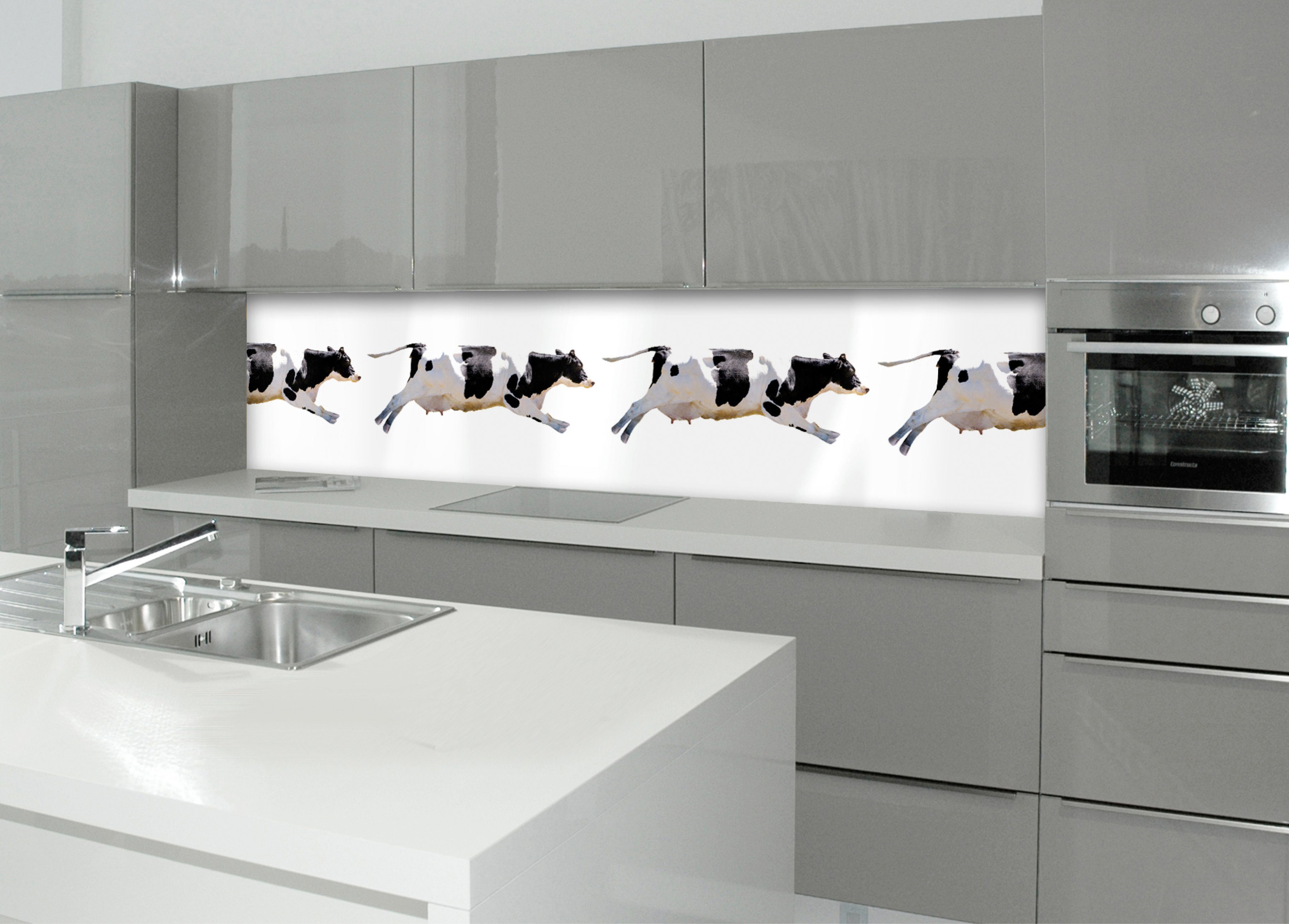 MySpotti Küchenrückwand »profix, Fliegende Kuh«-HomeTrends