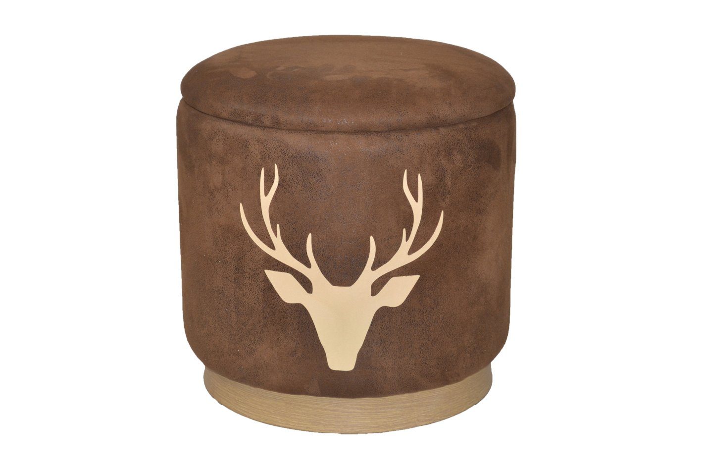 moebel-direkt-online Sitzhocker Lars Sitzhocker mit Stauraum, mit Stauraum günstig online kaufen