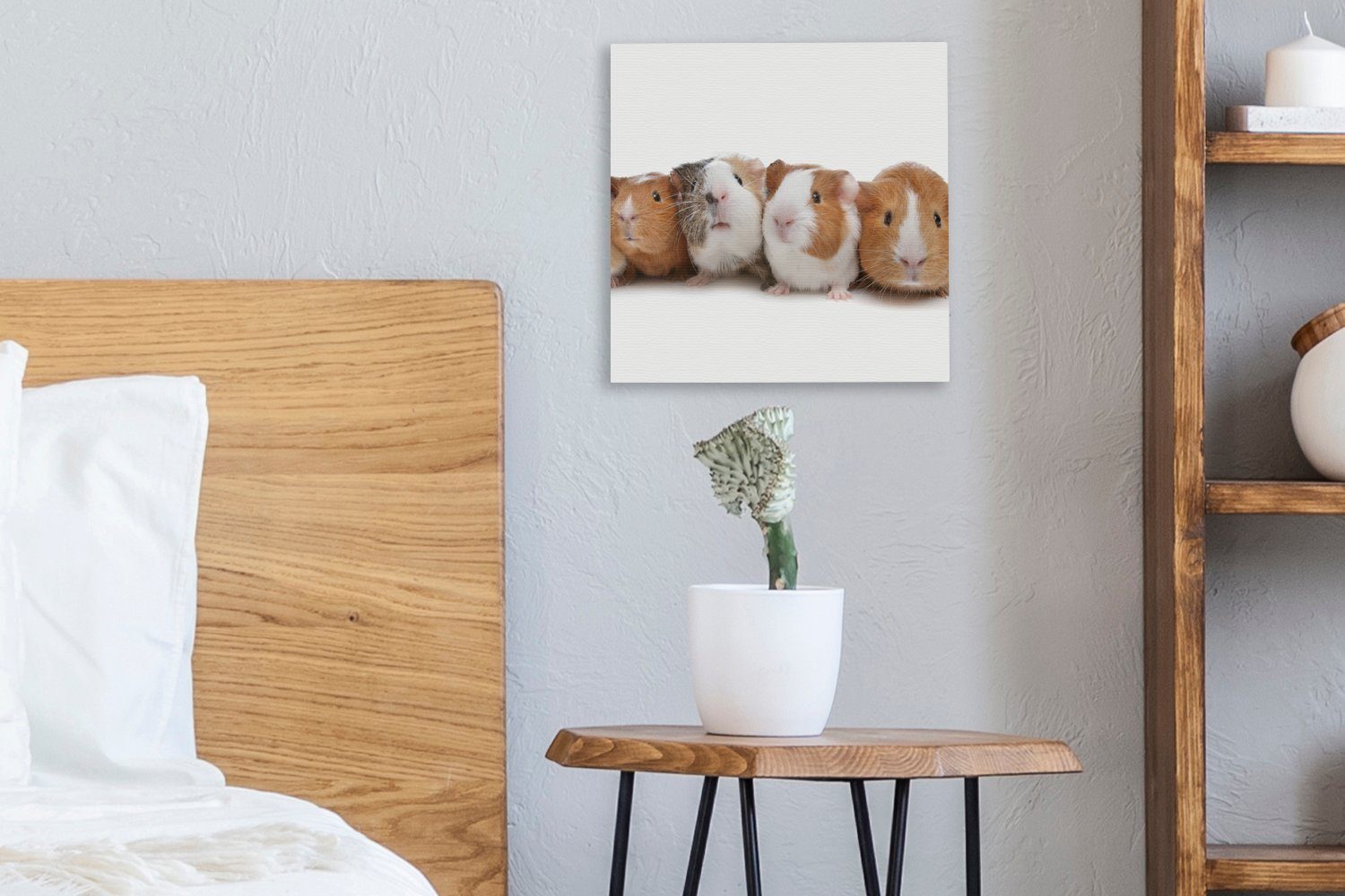 Bilder einer OneMillionCanvasses® (1 Schlafzimmer Wohnzimmer Reihe, St), Leinwandbild Leinwand Meerschweinchen in Fünf für